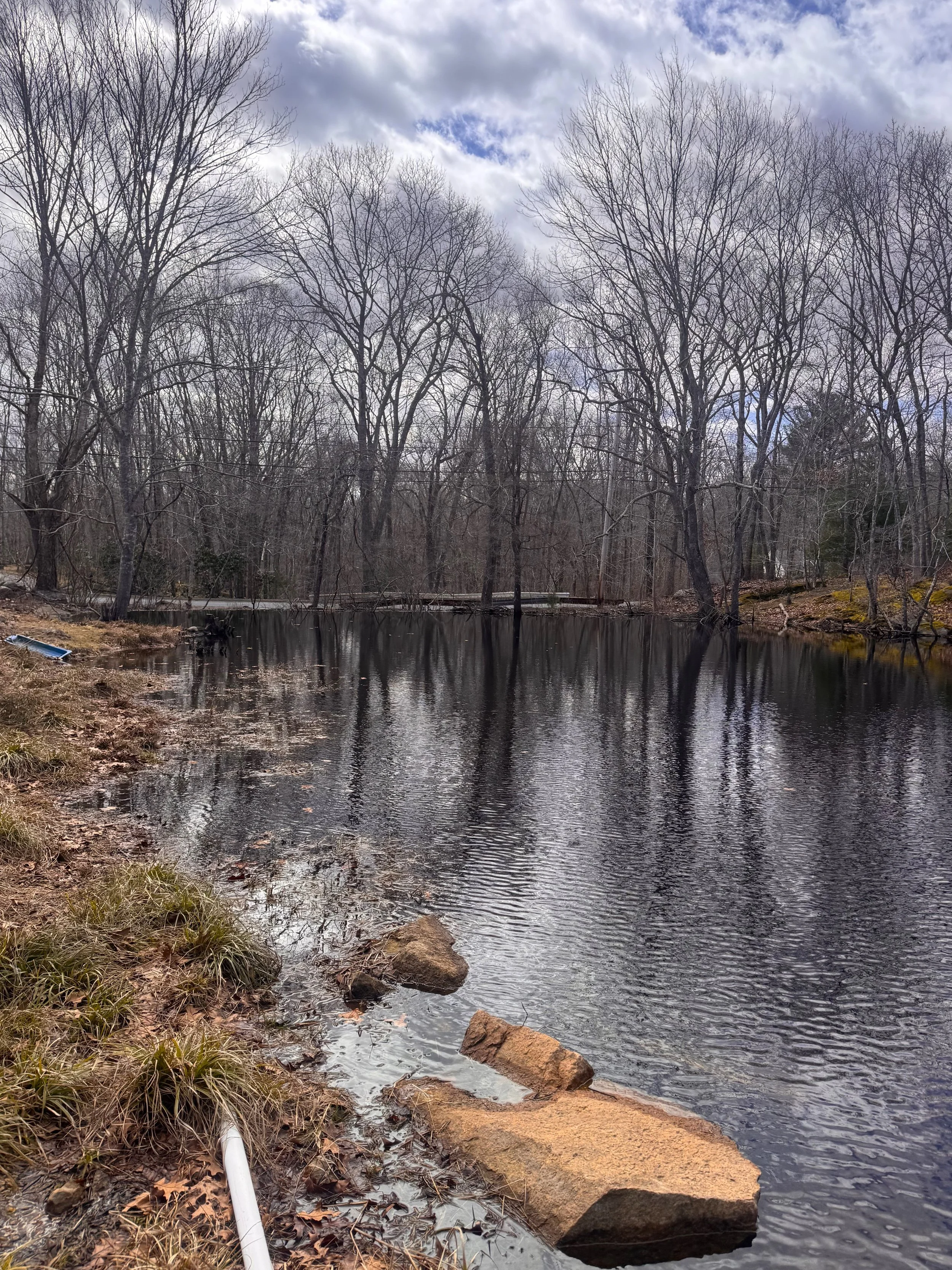 Cragan Property Pond 1.jpeg