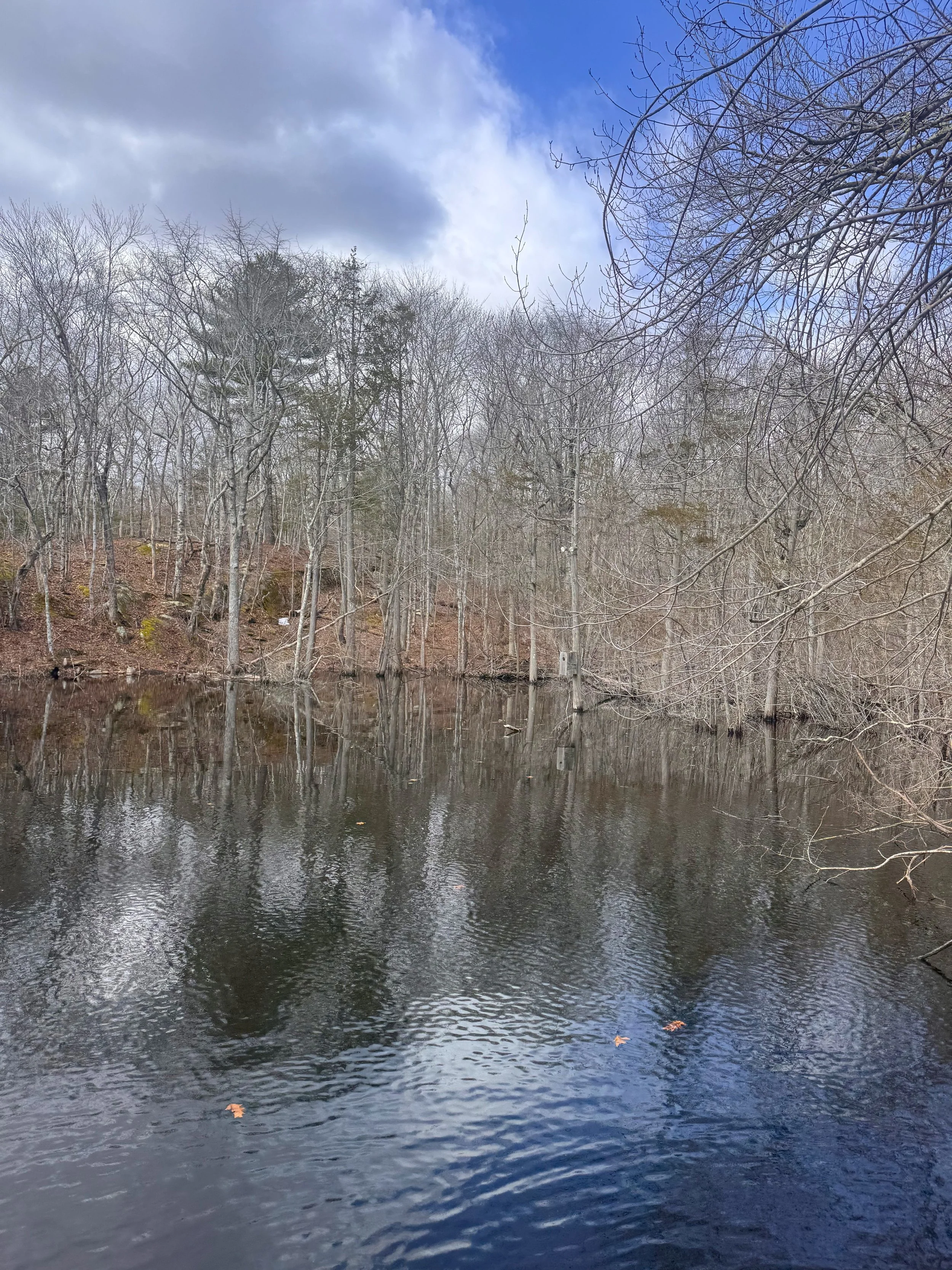 Cragan Property Pond 3.jpeg