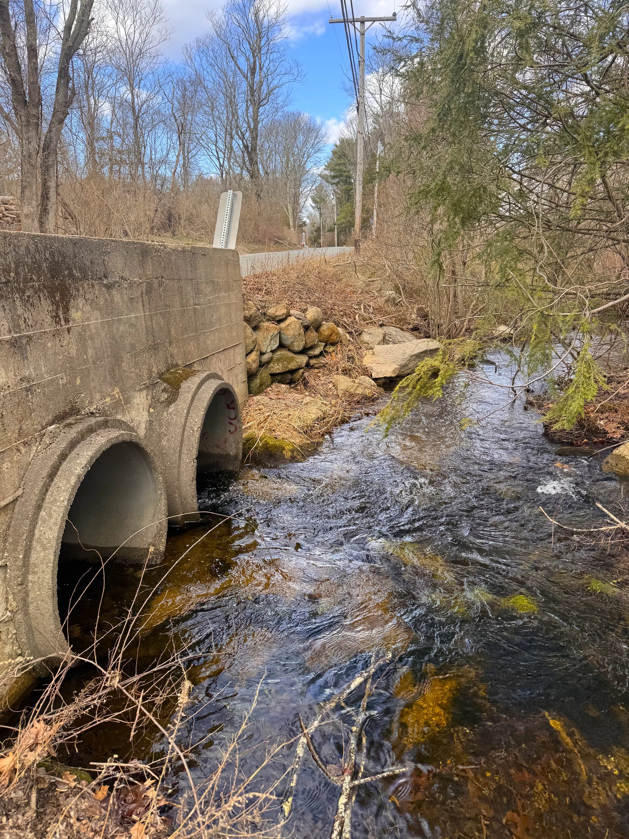 Hallville road culvert exit 2.jpeg