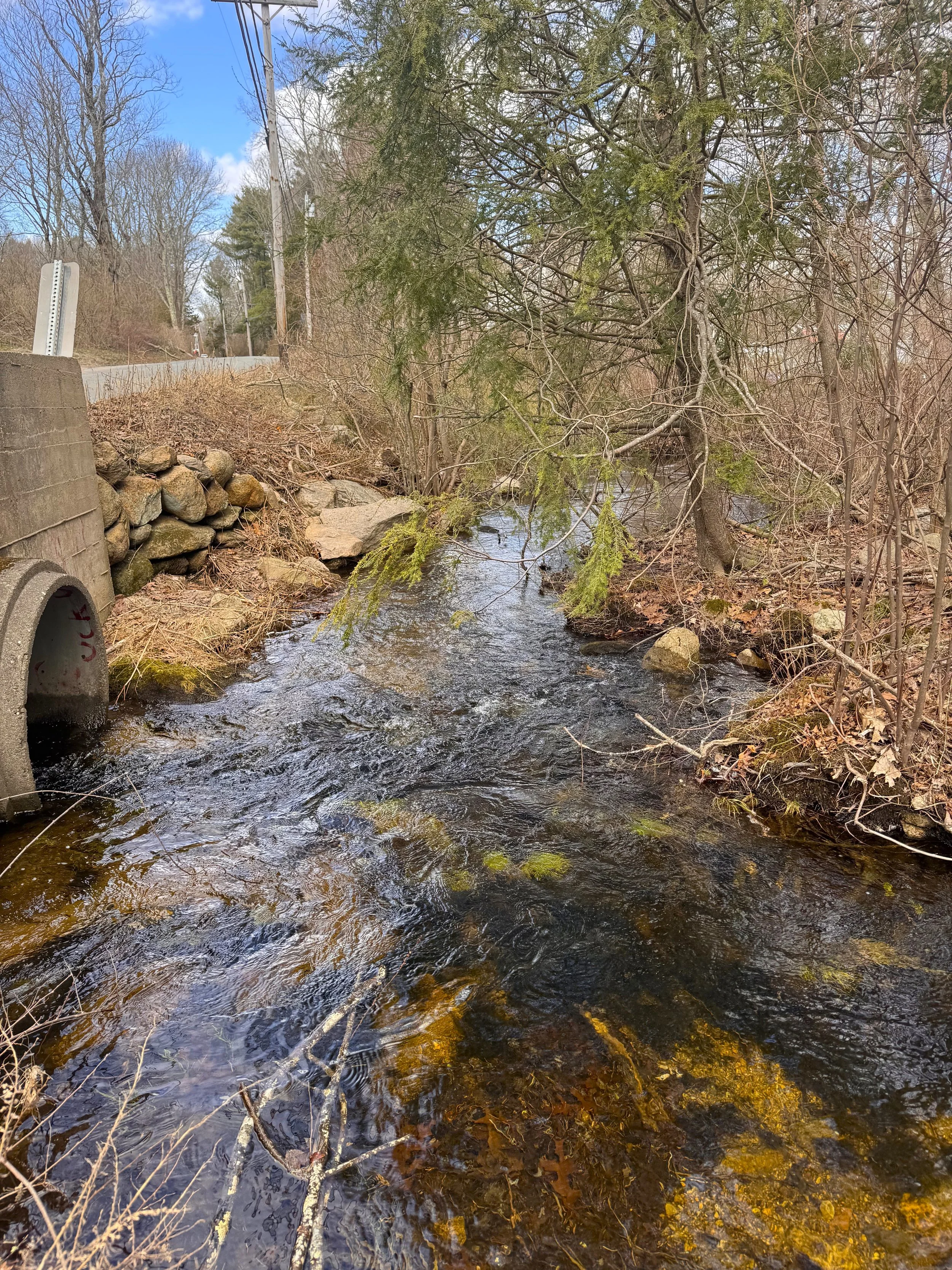 Hallville road culvert exit.jpeg