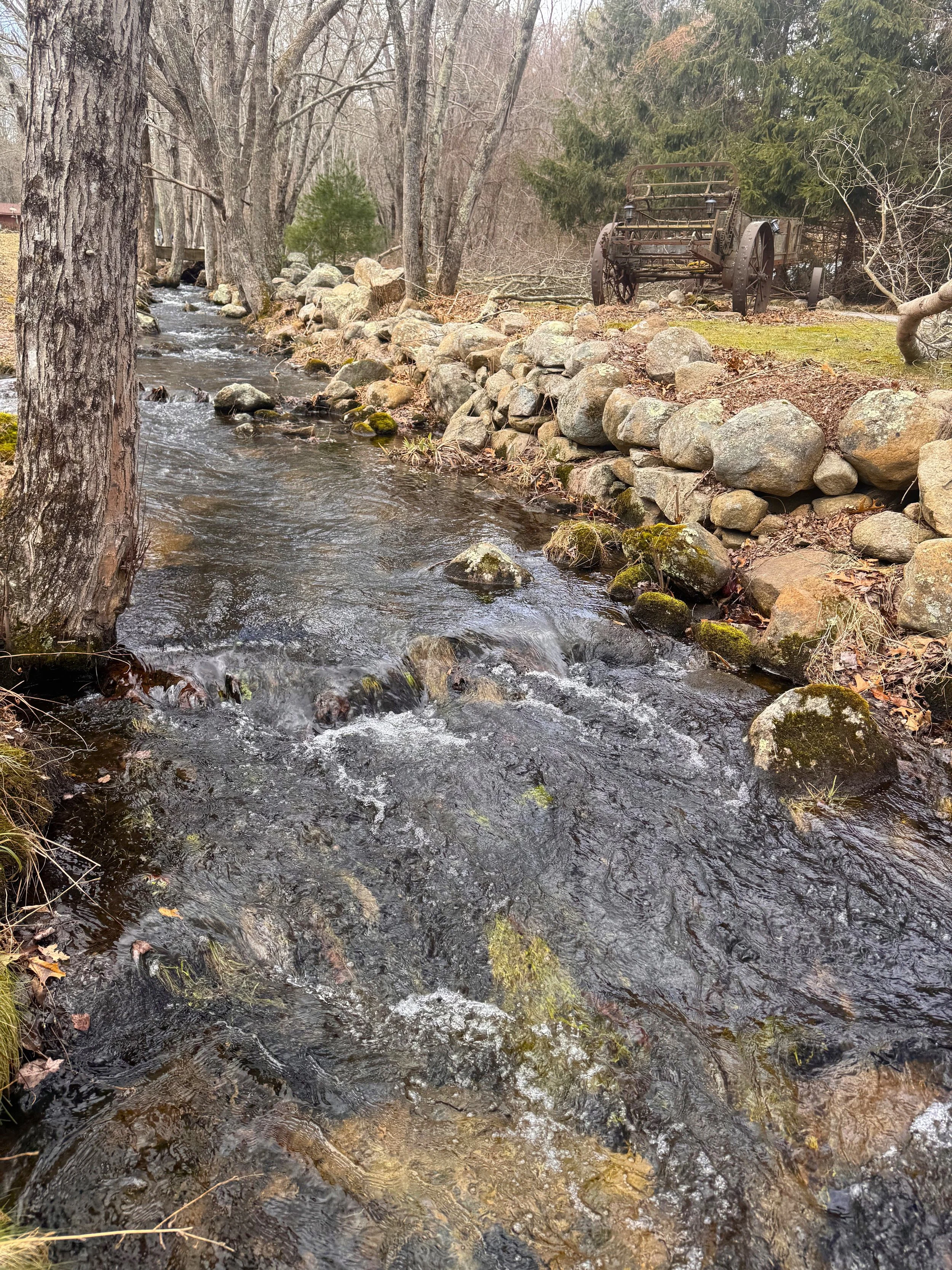 Up Stream of Hallville road culvert.jpeg