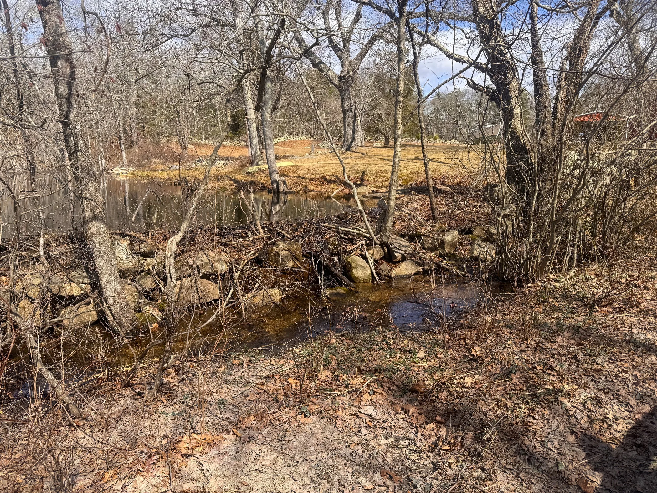 Cragan Property Pond outflow.jpeg