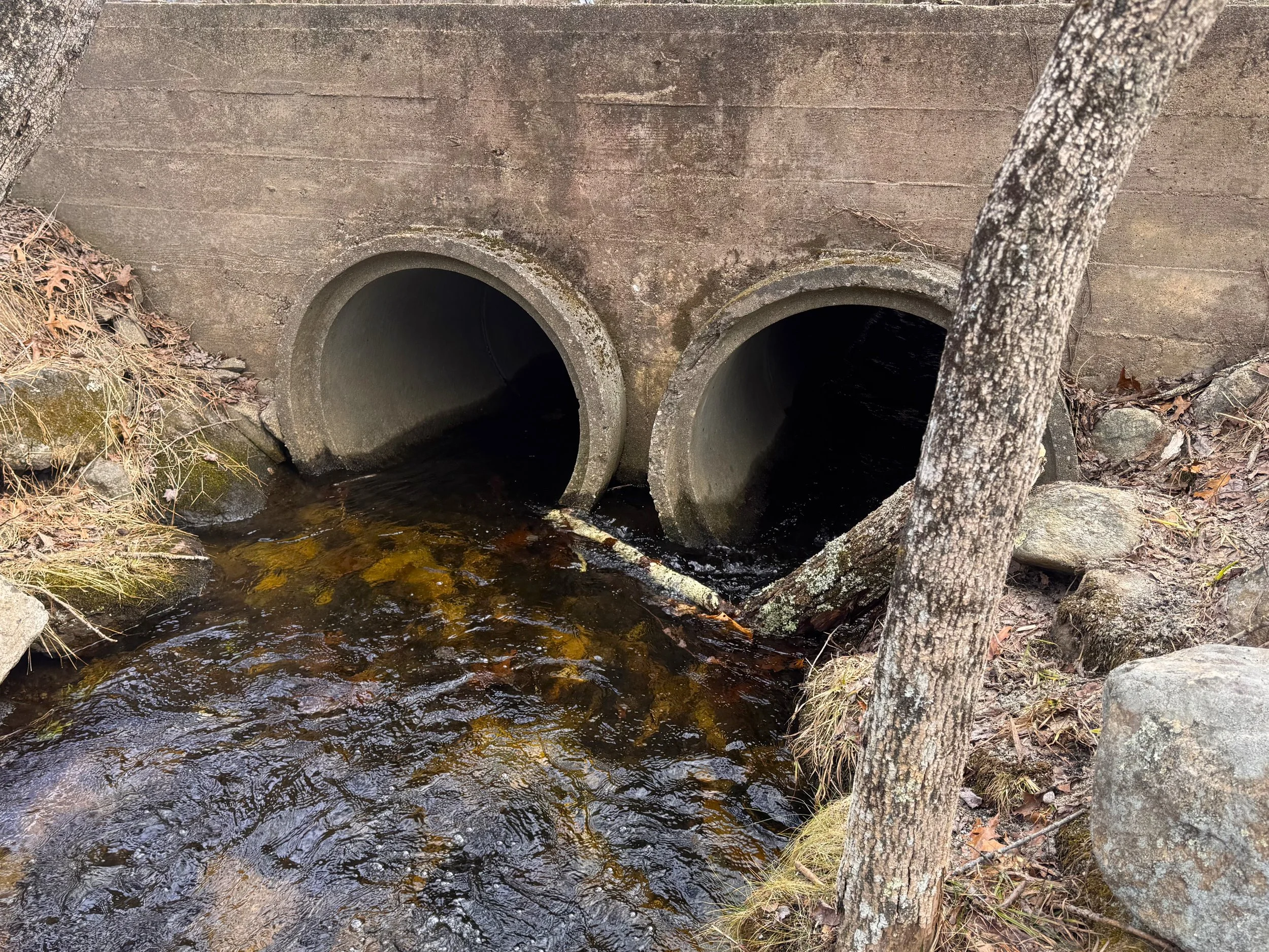 Hallville road culvert.jpeg