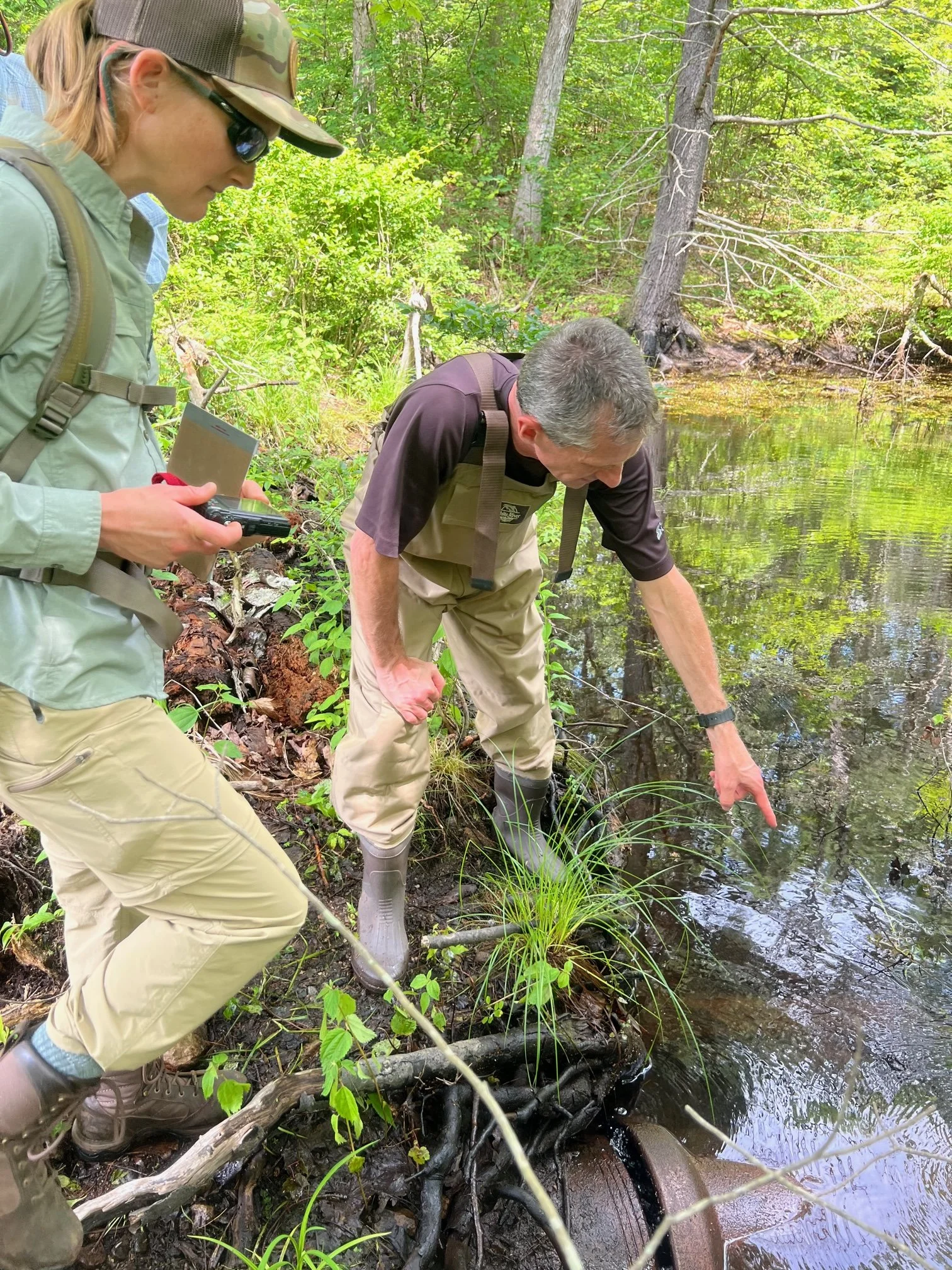 IMG_4269.jpg