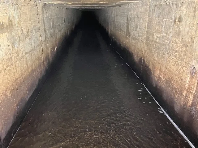Downstream.jpeg