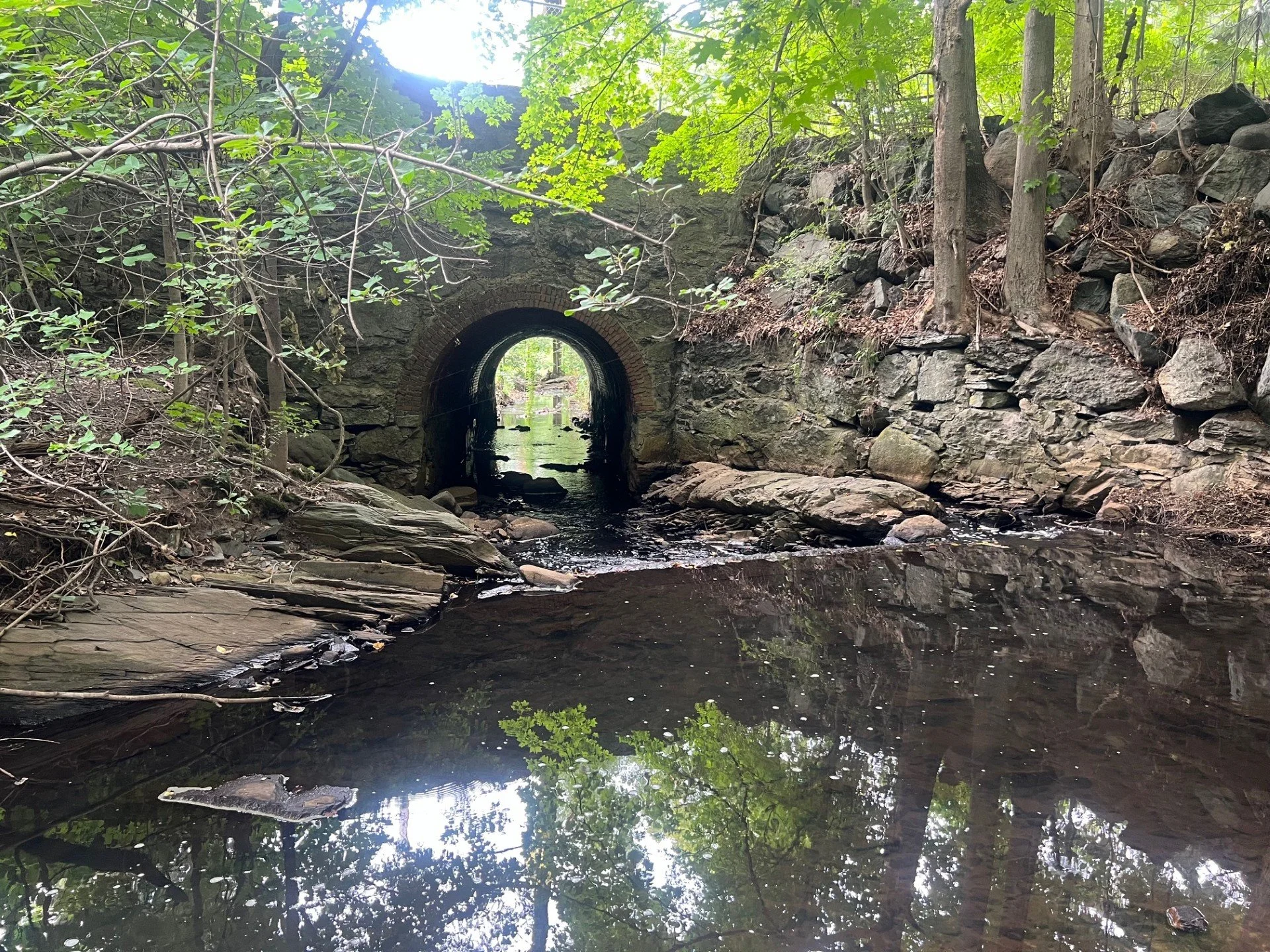 Downstream of Bulloughs Pond - Upstream of Walnut St.jpg