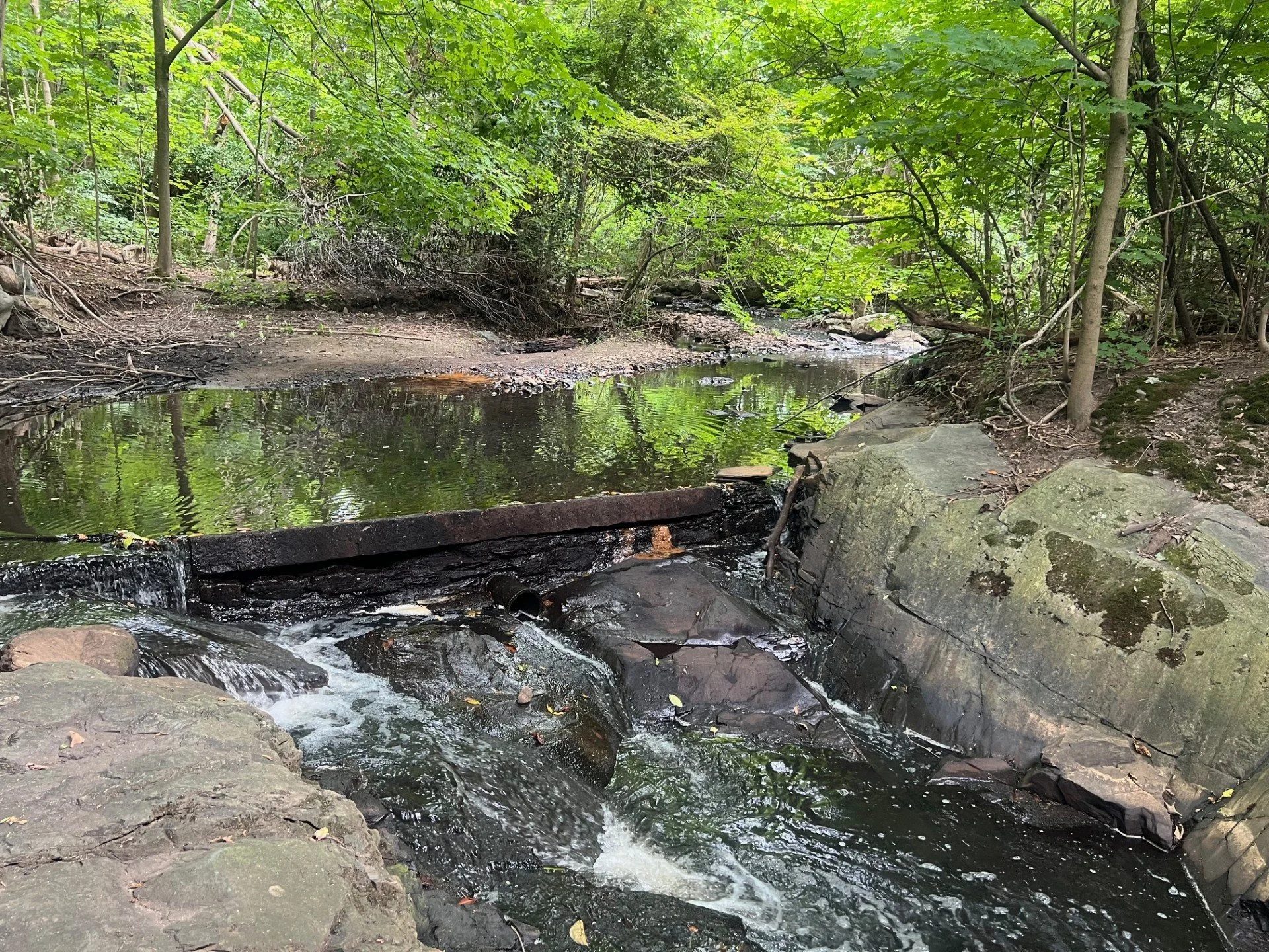 Downstream of Bulloughs Pond - Upstream of Walnut St 2.jpg