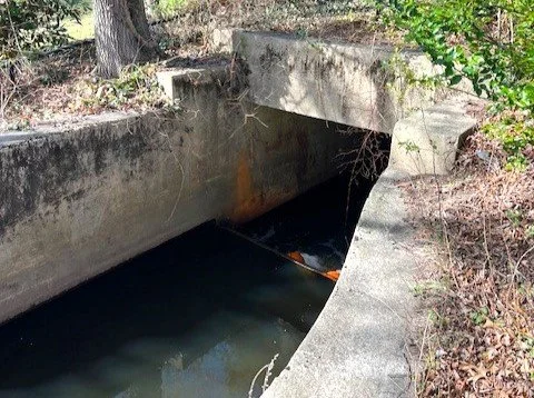 Outlet of Pond #3 2.jpg