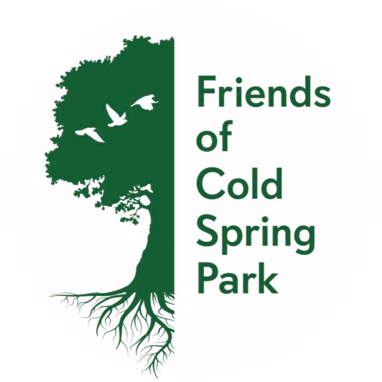 MA NFC's Work on Cold Spring Brook Recognized by Local Stewards... 