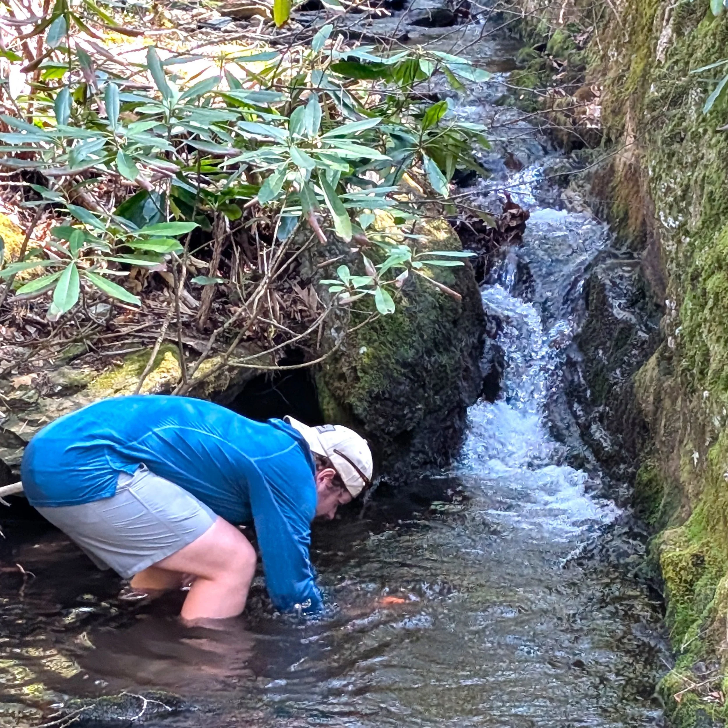 North Carolina NFC Deploys Temperature Loggers to Monitor Backcountry Wild Native Brook Trout Streams...