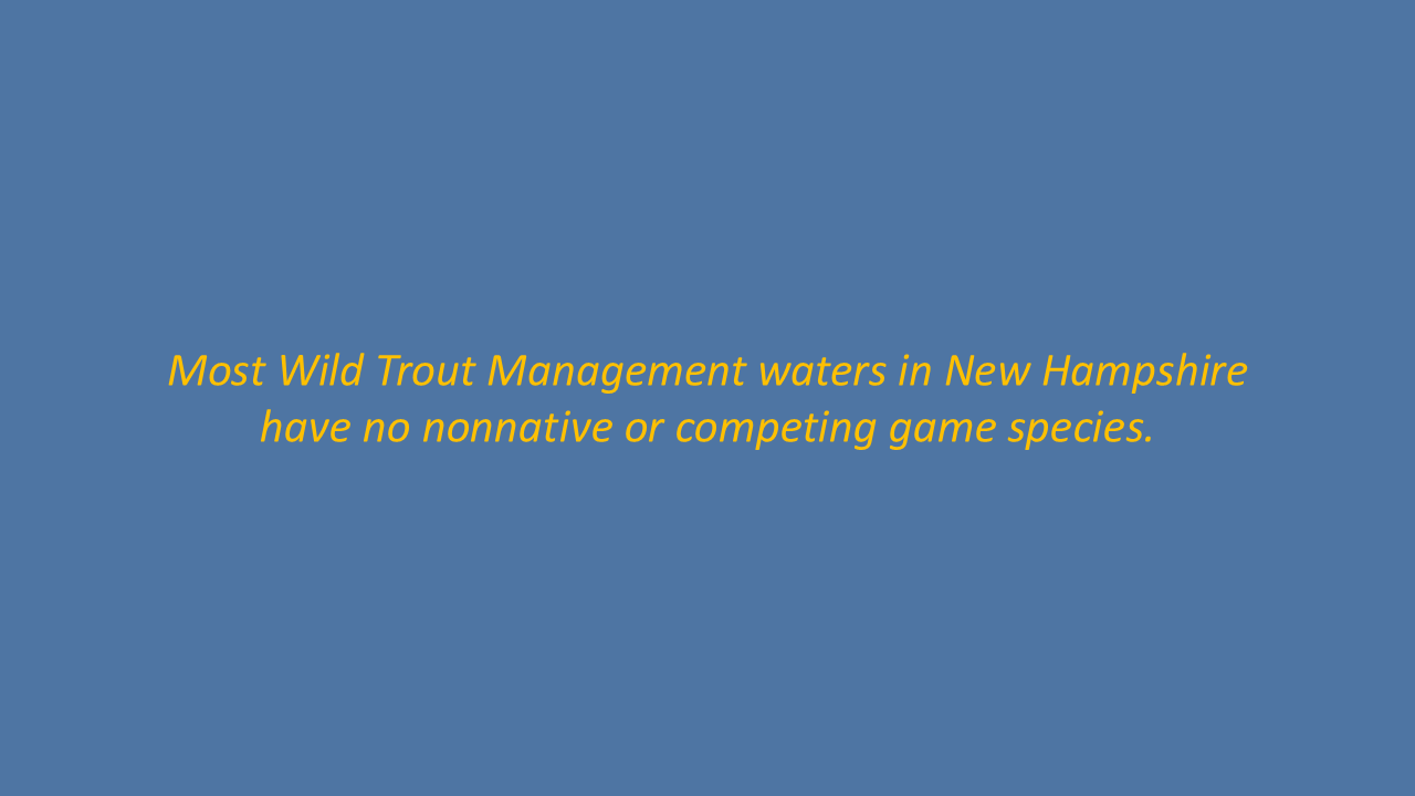 Slide16.PNG