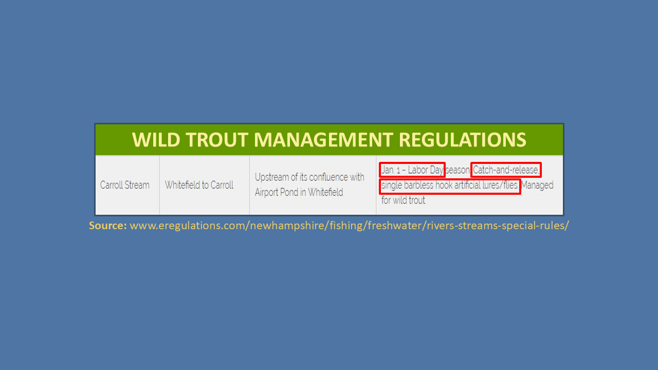 Slide24.PNG