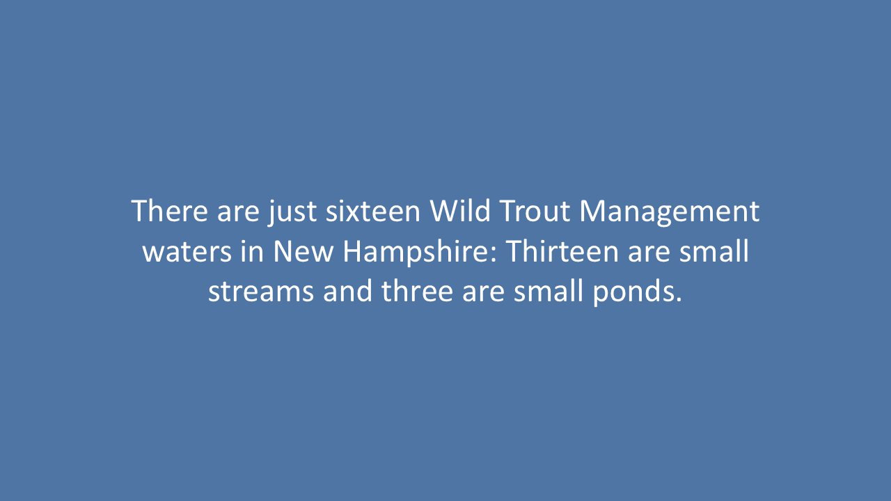 Slide27.PNG