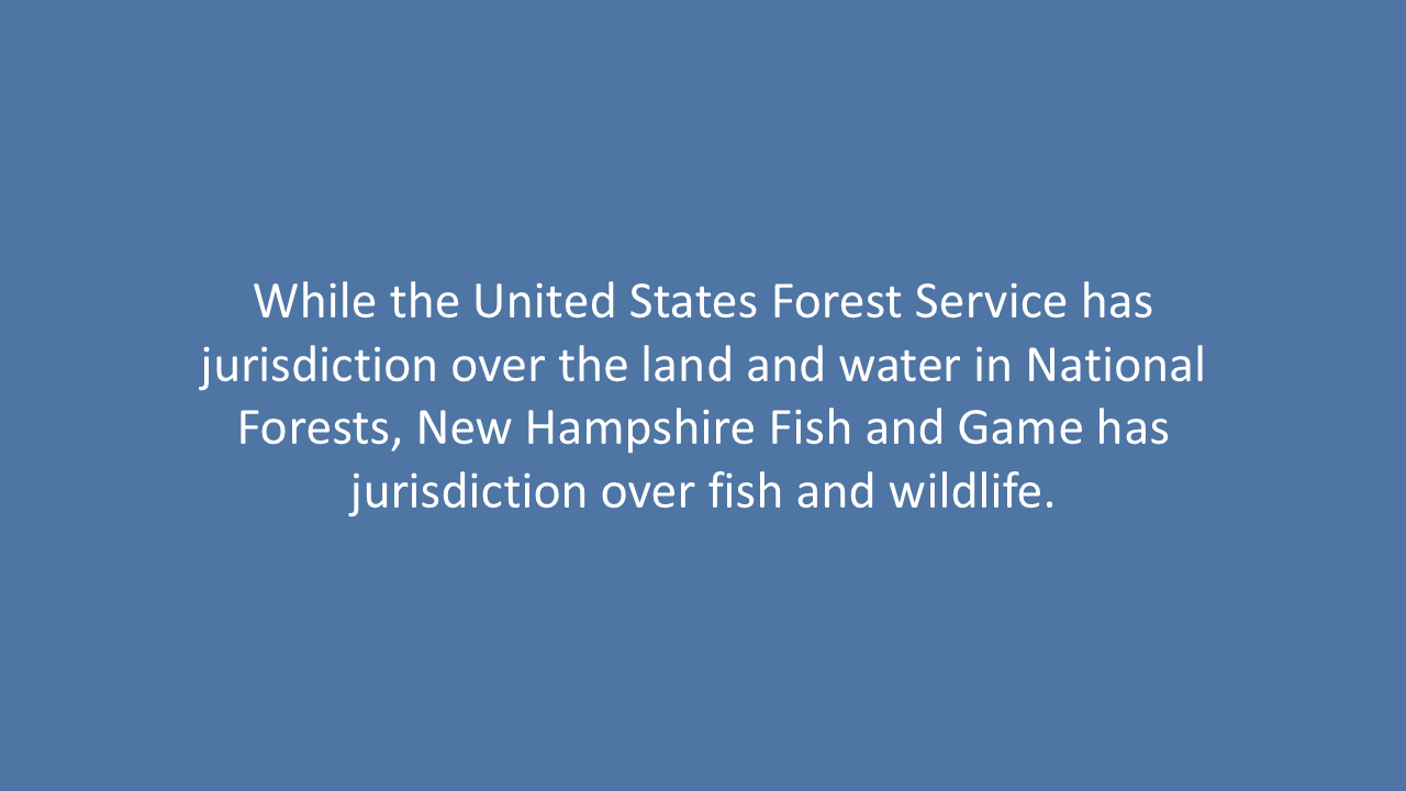 Slide78.PNG