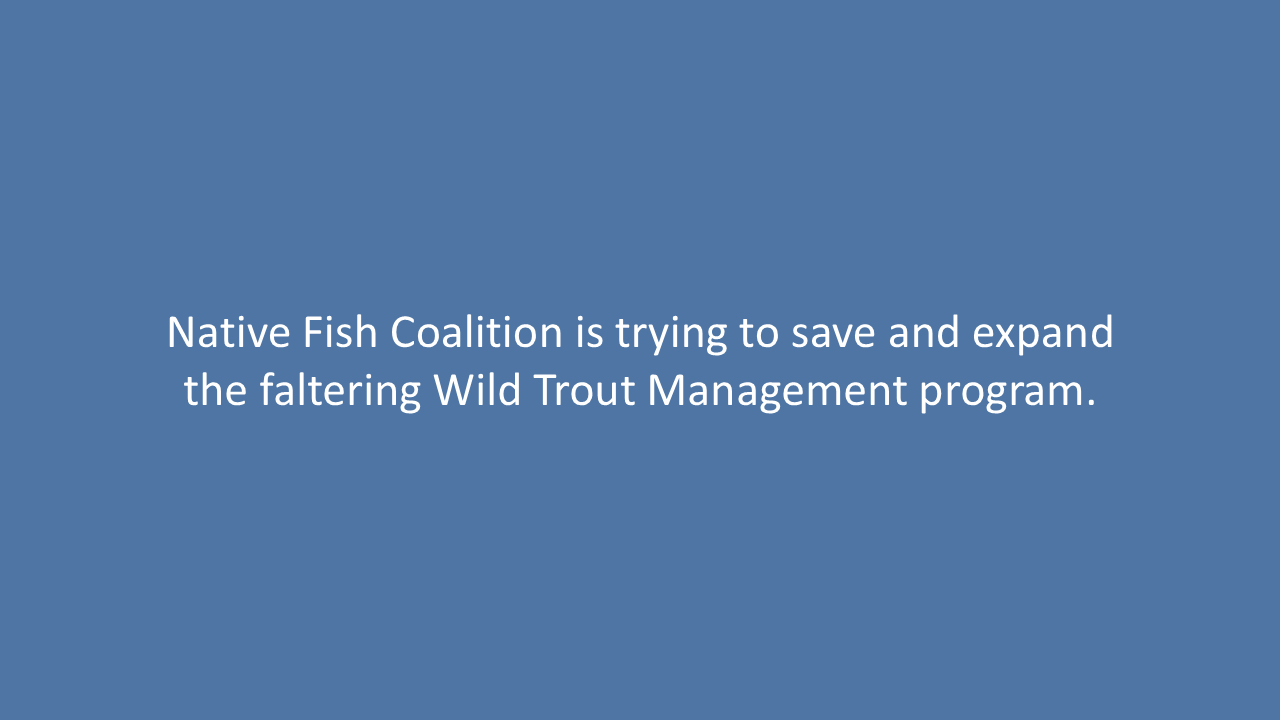 Slide87.PNG