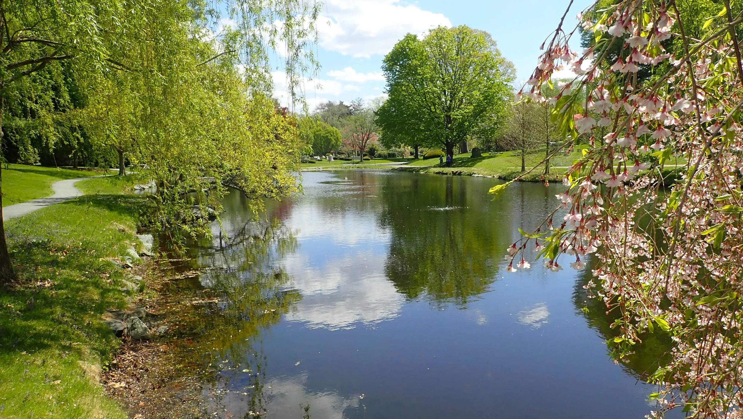 Cemetary Pond Tours e (3).JPG