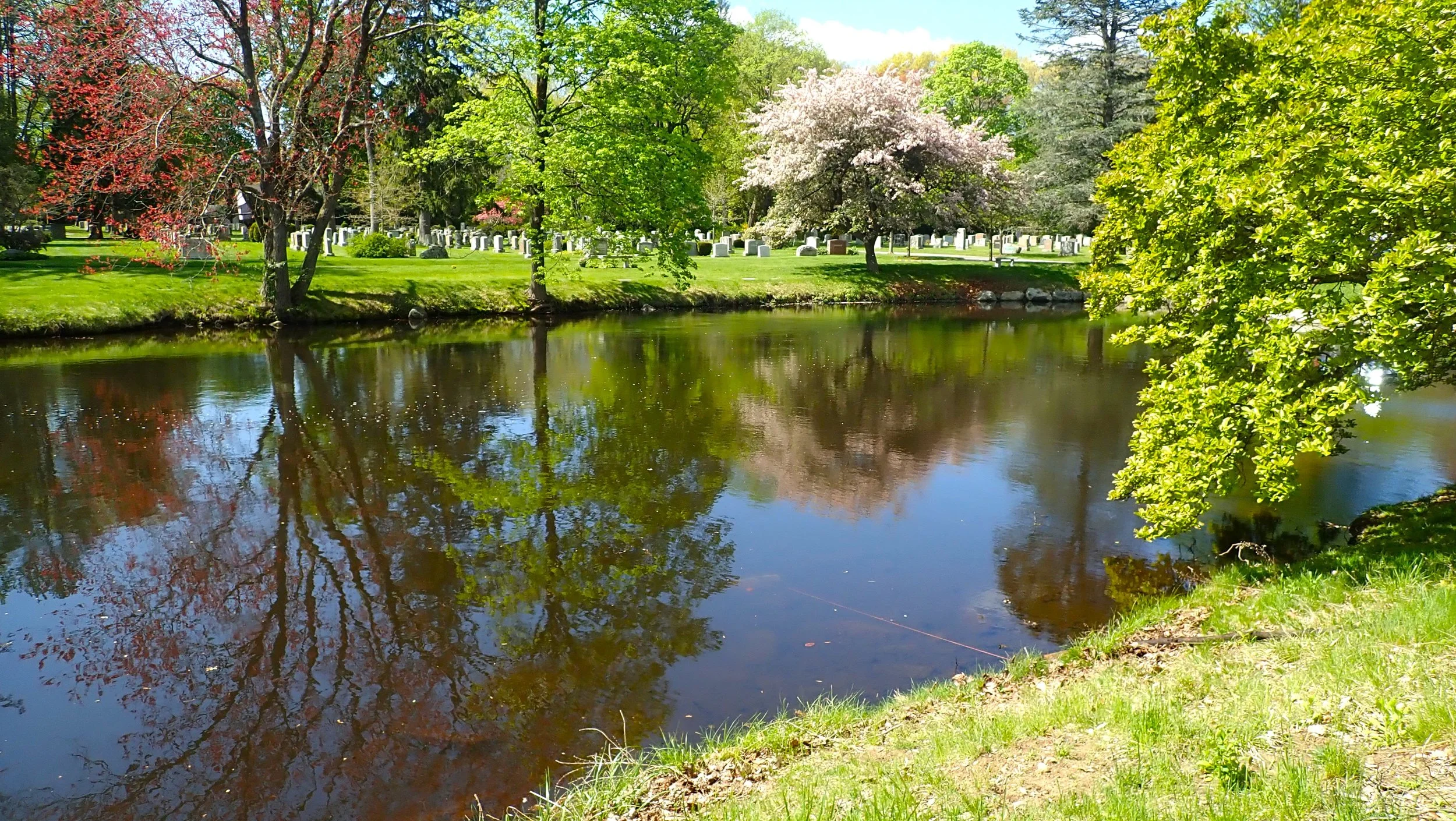 Cemetary Pond Tours e (8).JPG