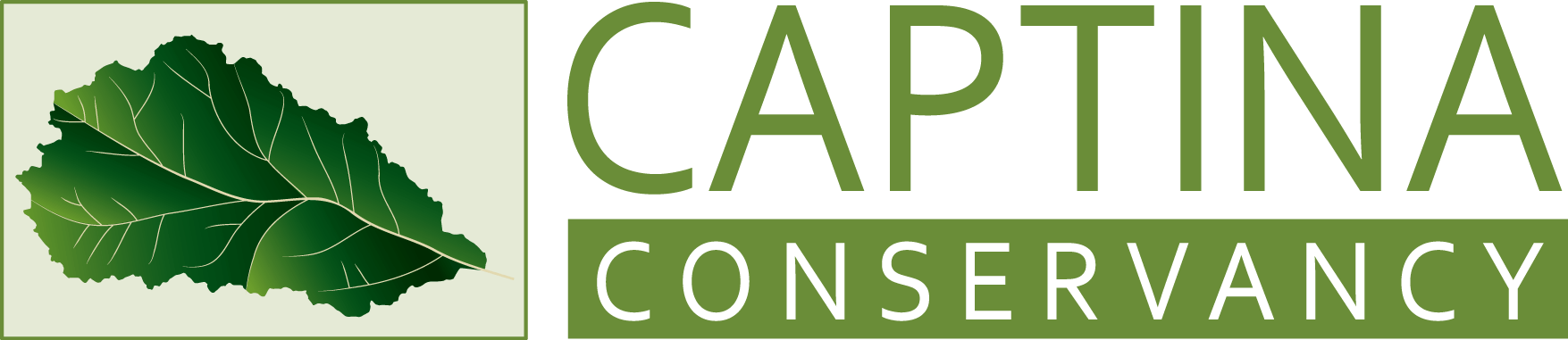 captinalogo-web_orig.png