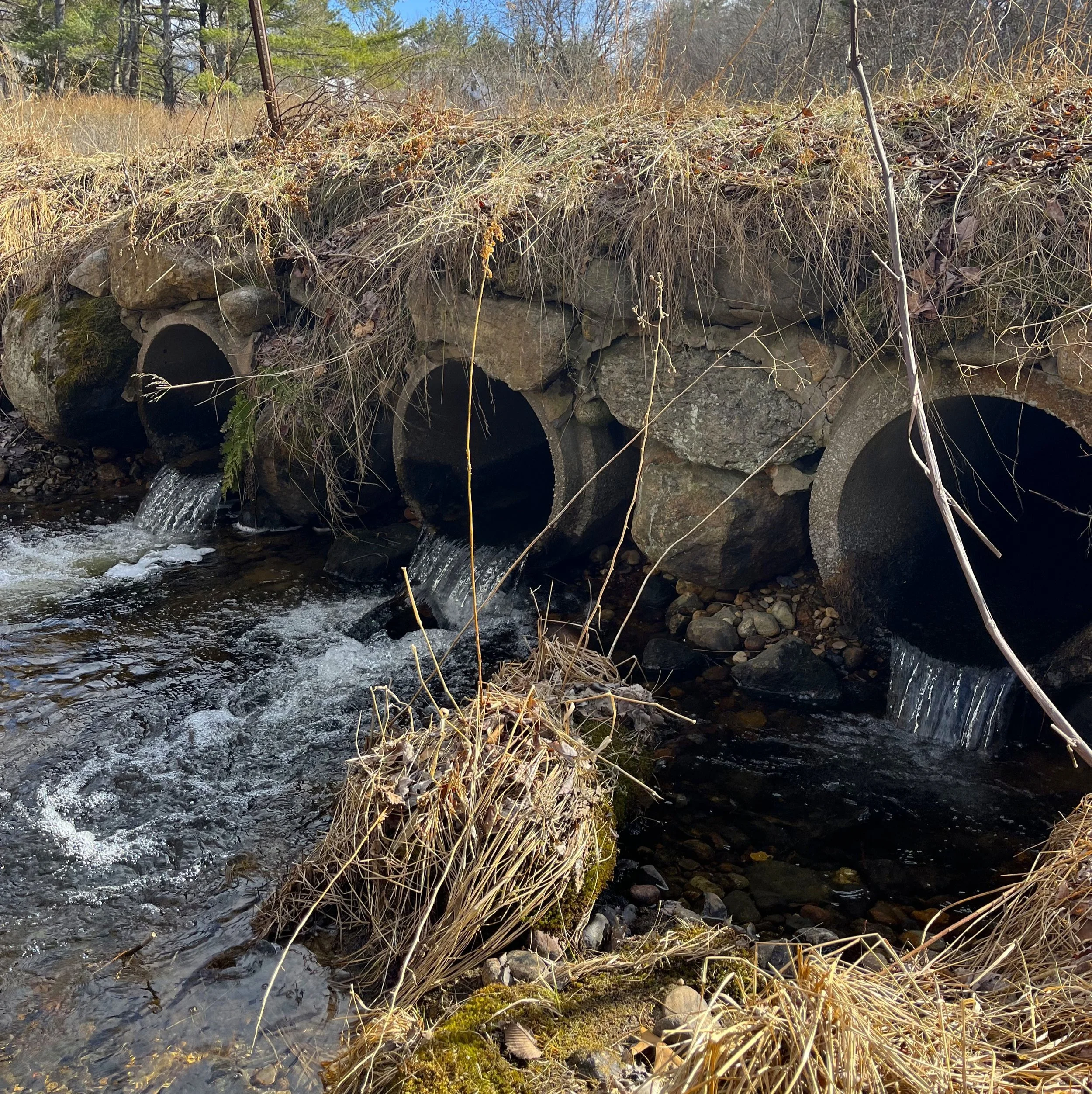 HOLISTIC STREAM ASSESSMENT/RESTORATION: BOW BOG STREAM, NEW HAMPSHIRE...