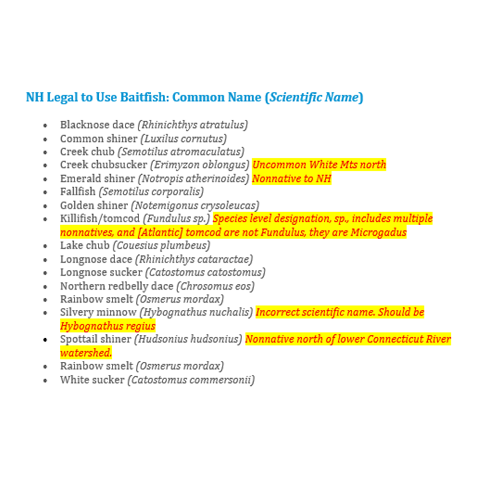 NFC Works to Correct and Refine New hampshire's Legal to Use Baitfish List...