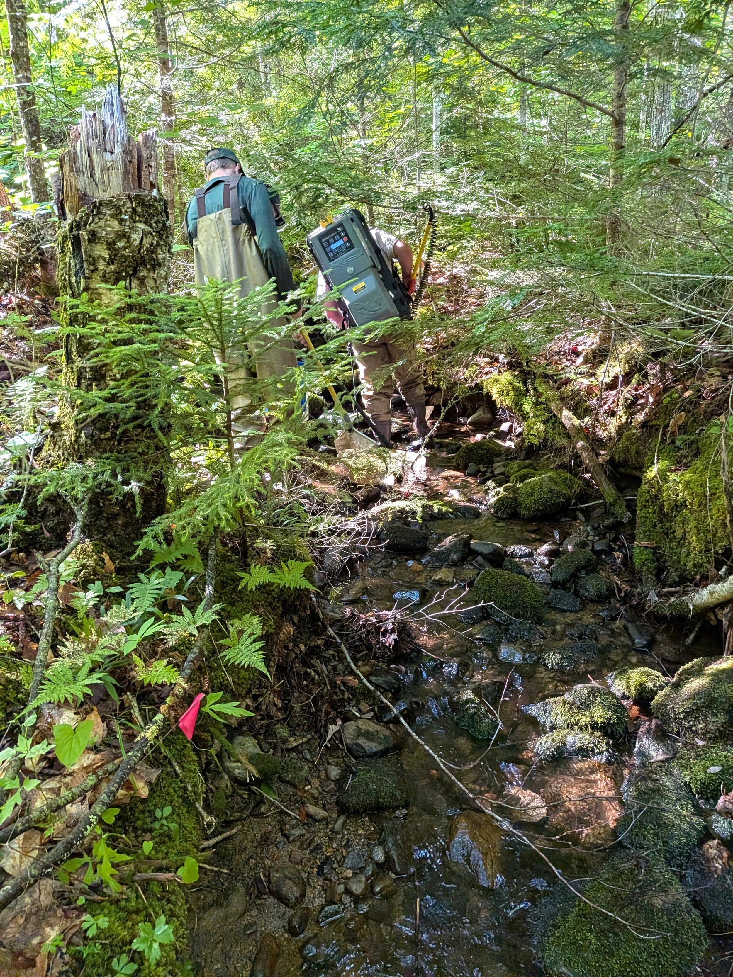 PXL_20260804_134944289.jpg