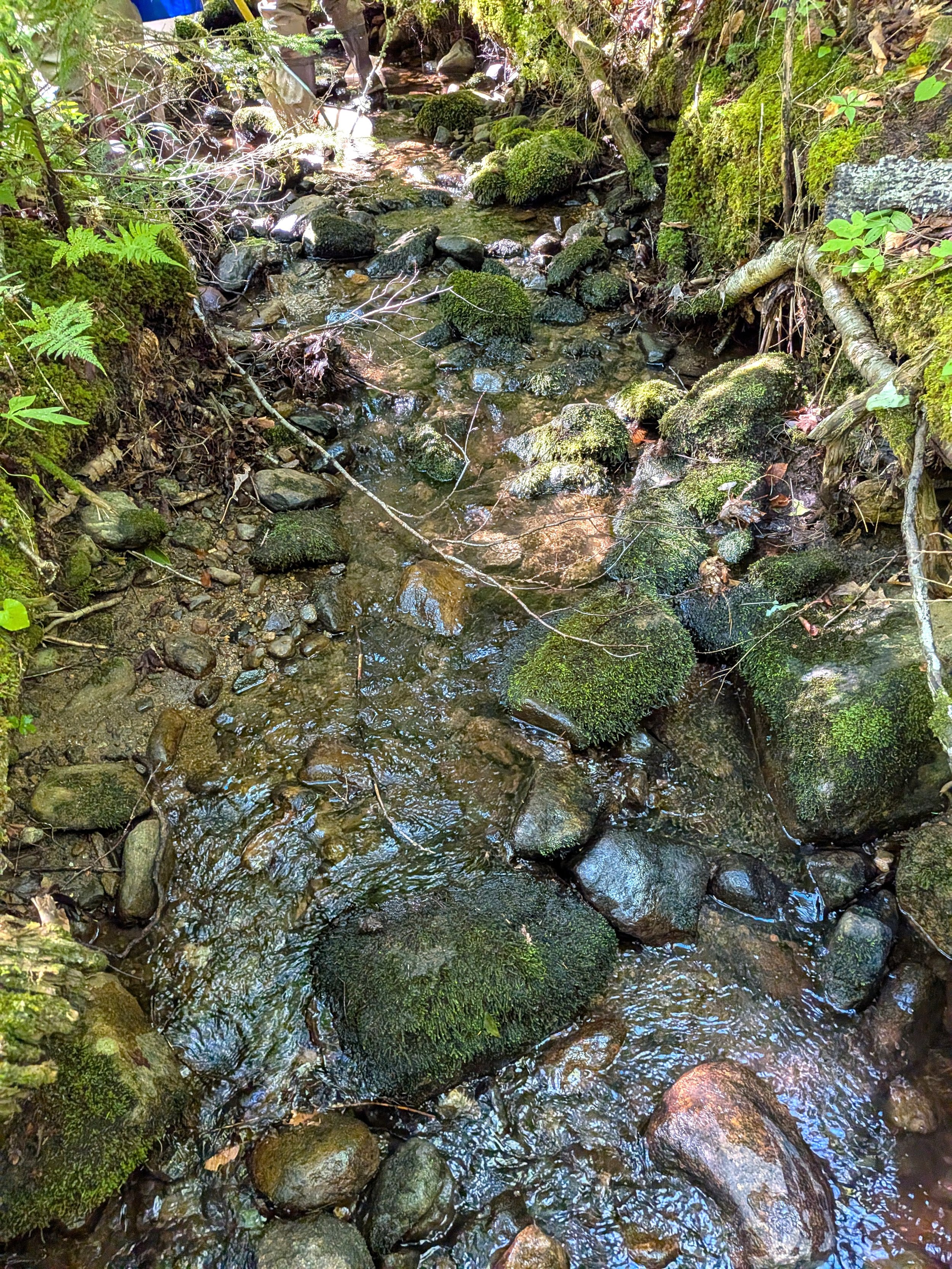 PXL_20260804_134946360.jpg
