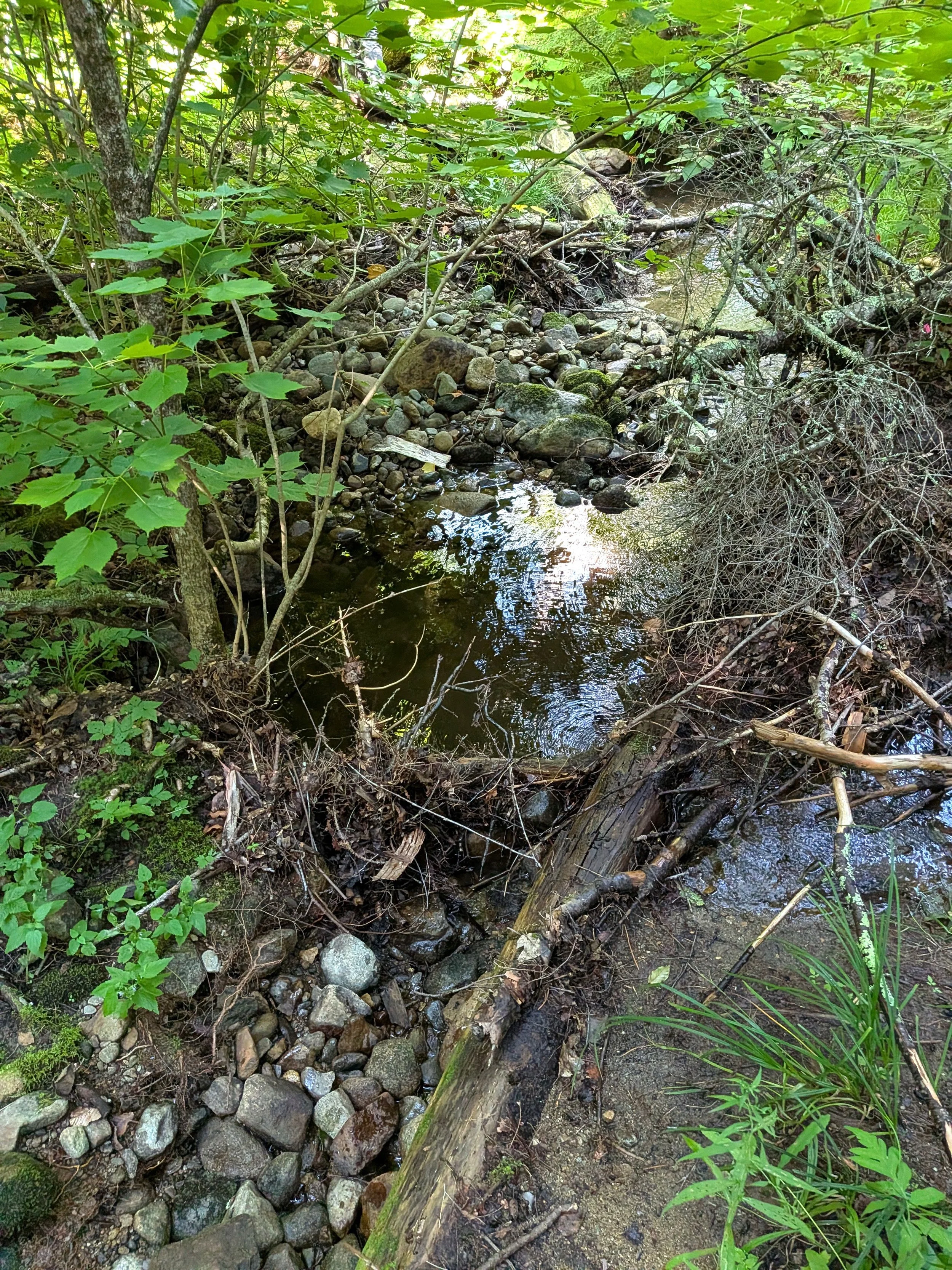 PXL_20260804_140336834.jpg