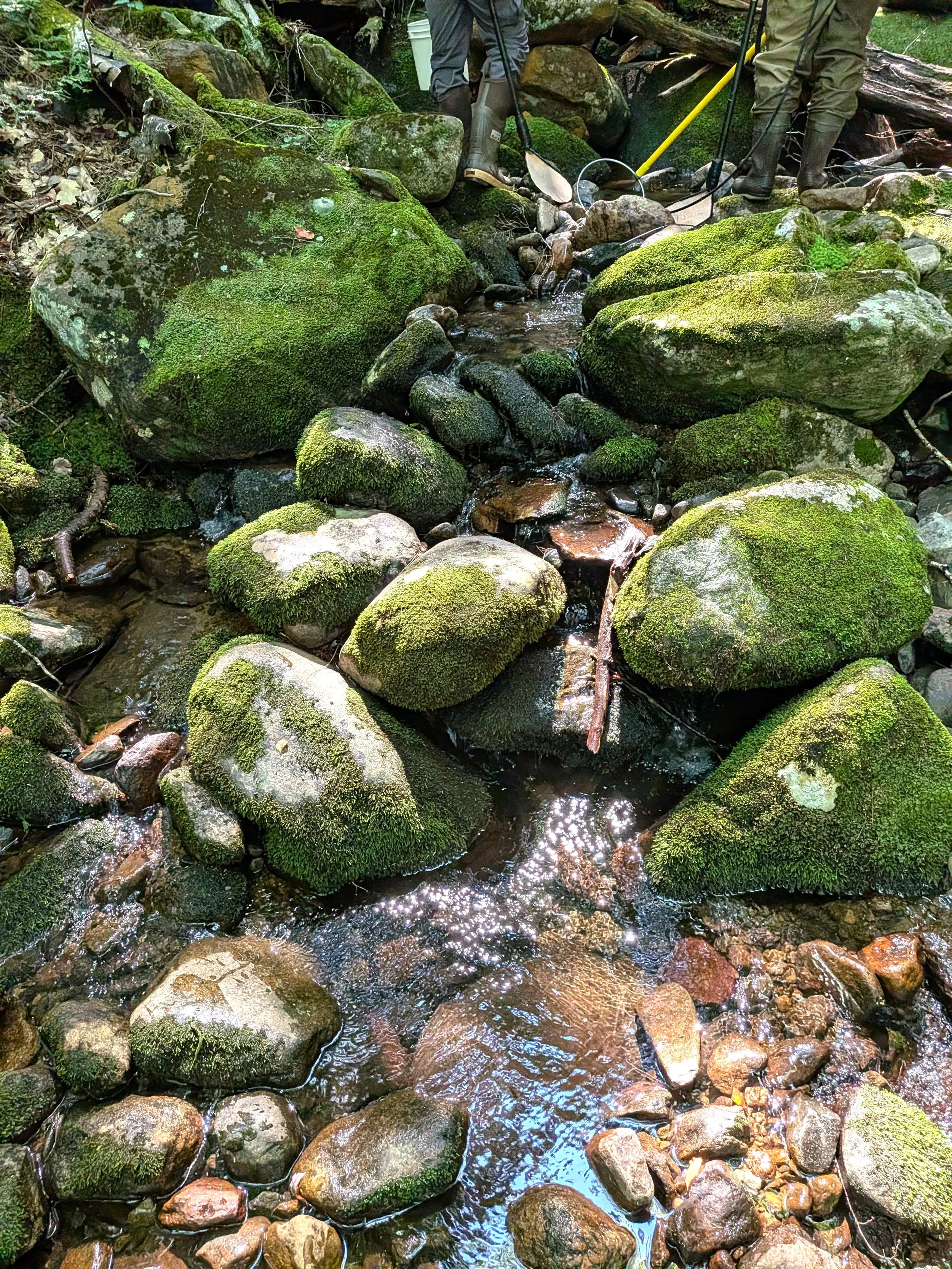 PXL_20260804_143543684.jpg