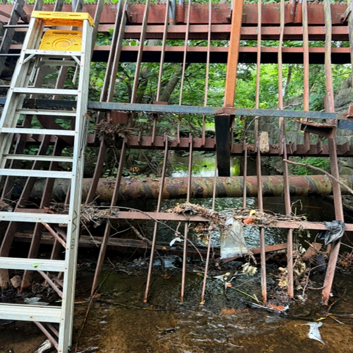 Campaign Update: MA NFC, Going Where No Fish Conservation Group Has Gone... 