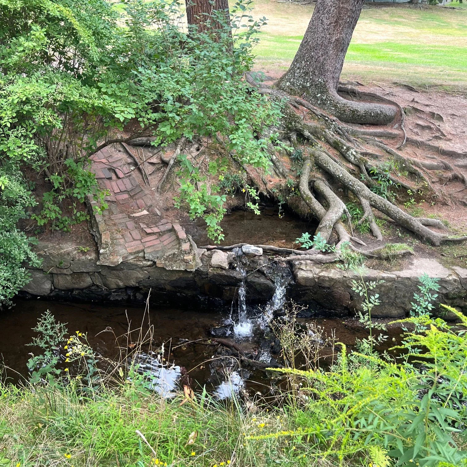 Newton, Massachusetts eDNA Metabarcoding Stream Survey: Hammond Brook...