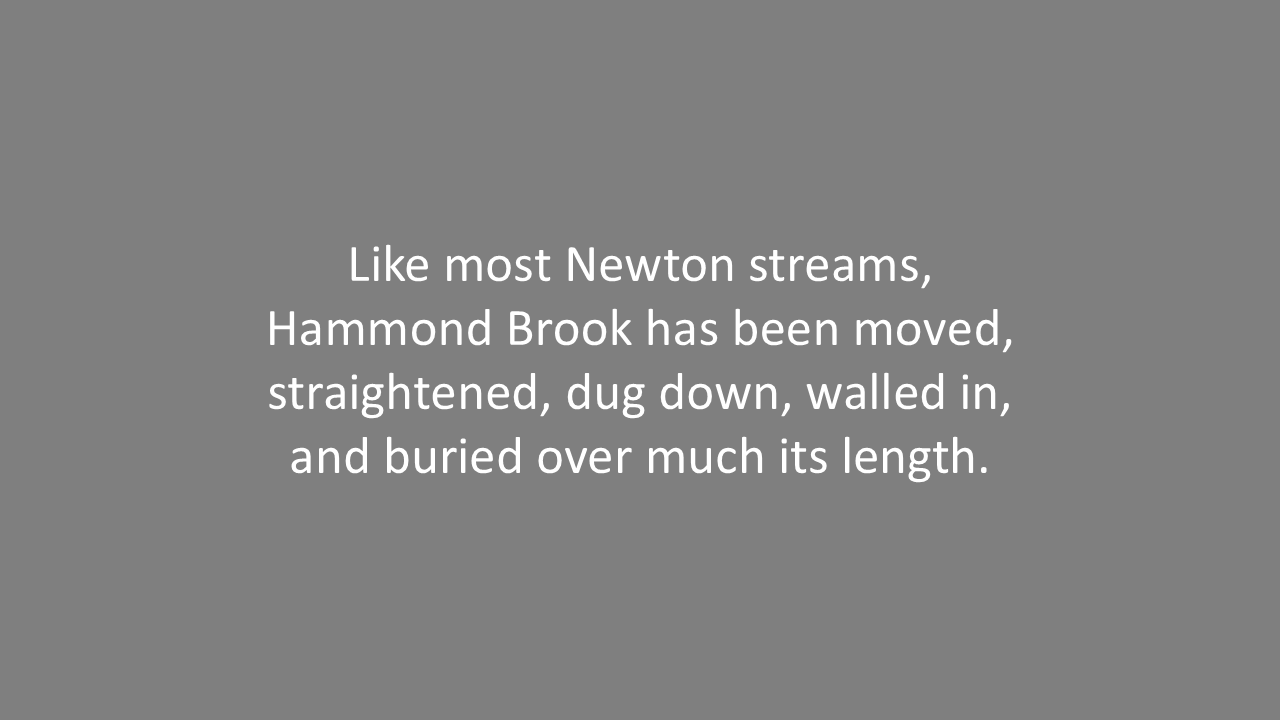 Slide6.PNG