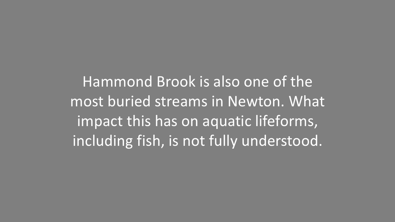 Slide11.PNG