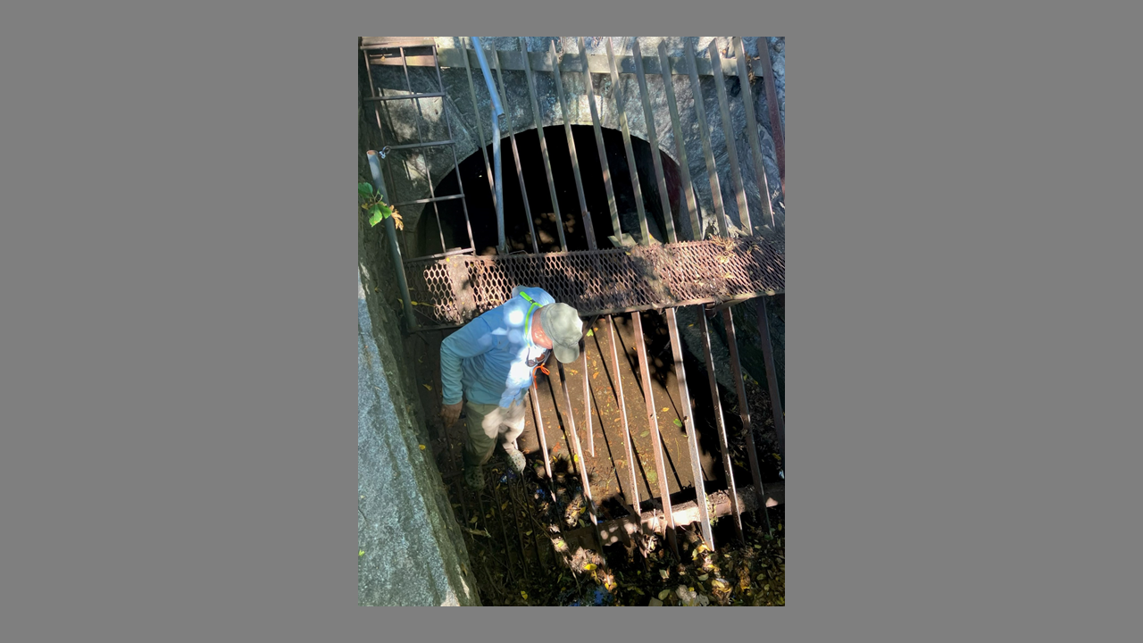 Slide15.PNG