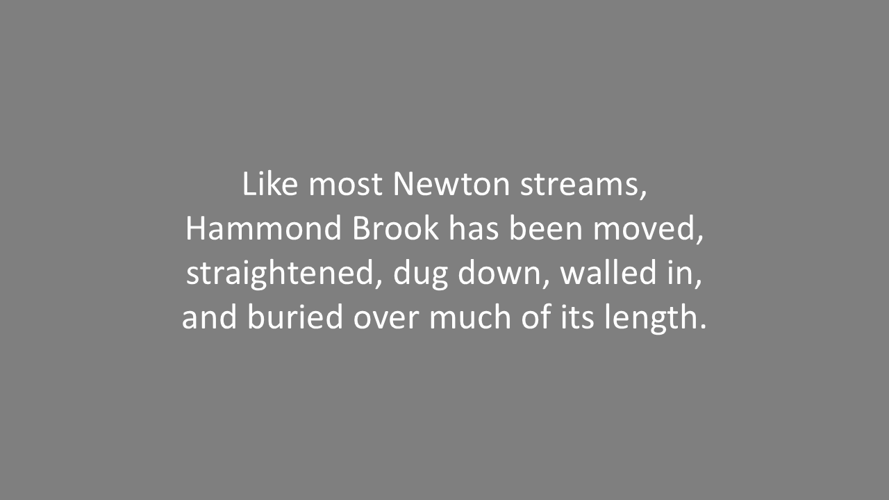 Slide6.PNG