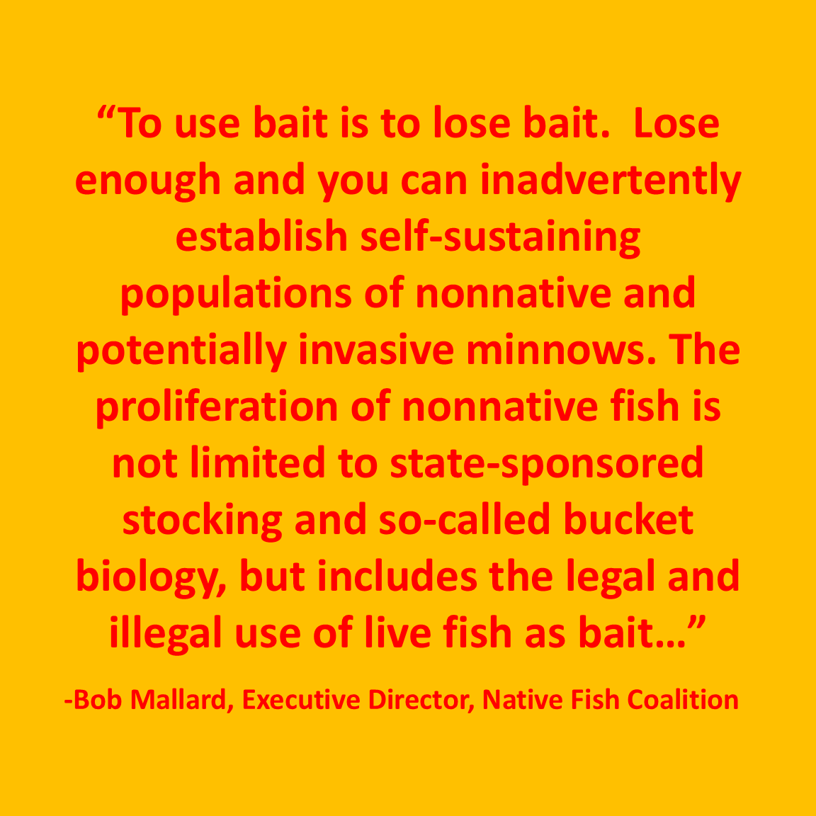 NFC Chimes in on New Hampshire Legal Baitfish Proposal...
