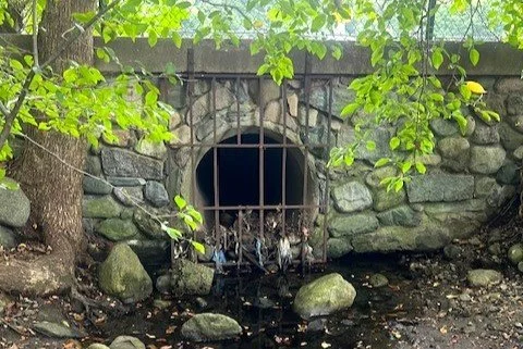Cold Spring Brook Headwaters - 1 (2).jpeg