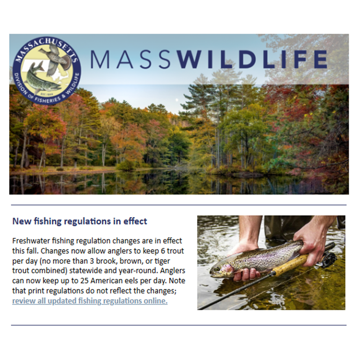 MassWildlife Steps Up For Wild Native Brook Trout...