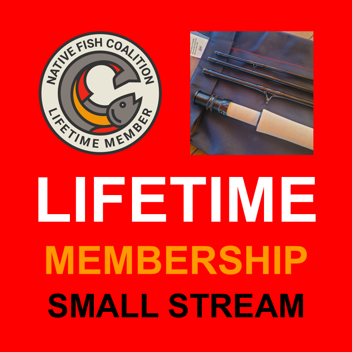 Slide30.PNG