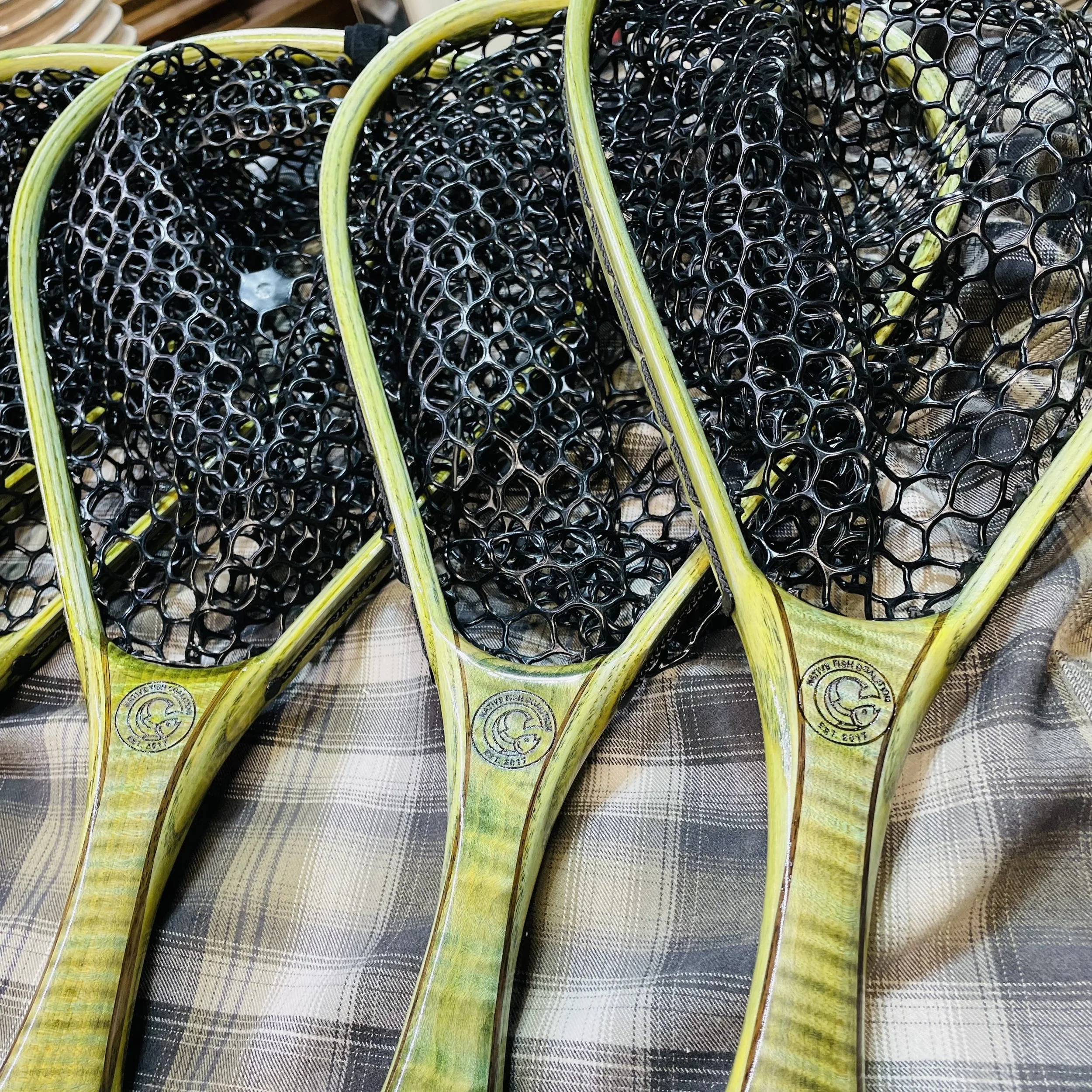 image_50447617.JPG