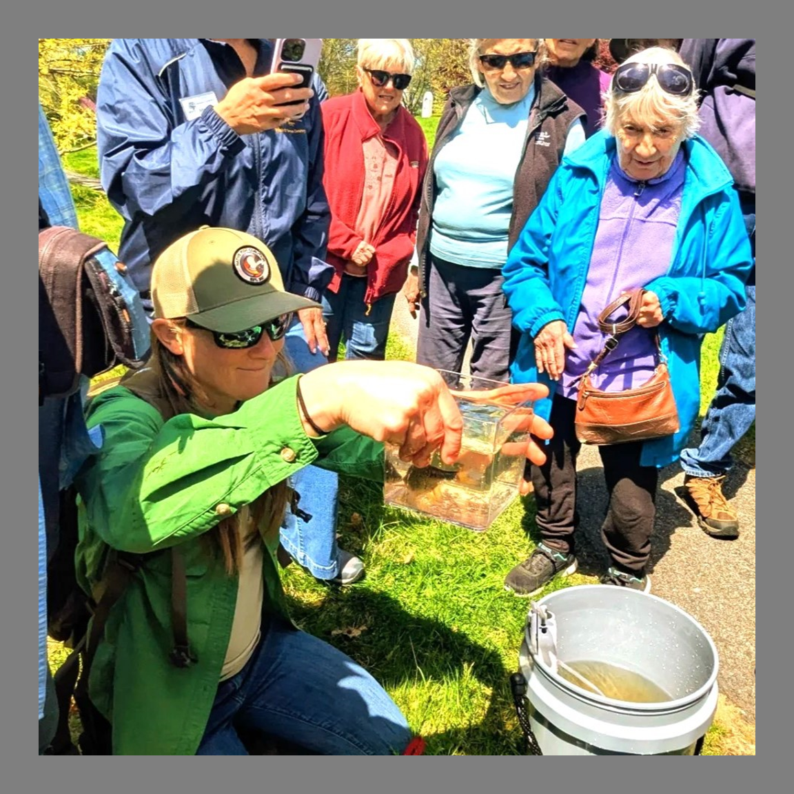Public Fish Viewing Events