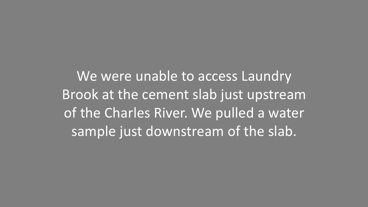 Slide20.PNG