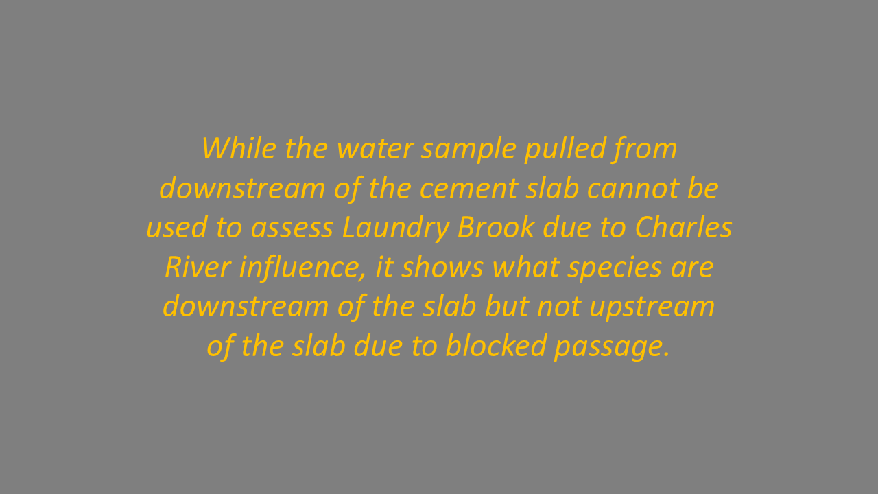 Slide21.PNG