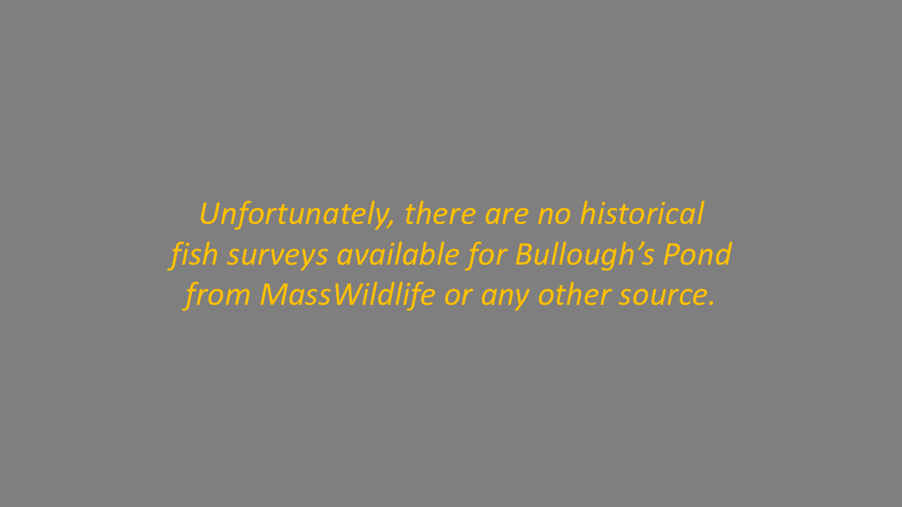 Slide29.PNG