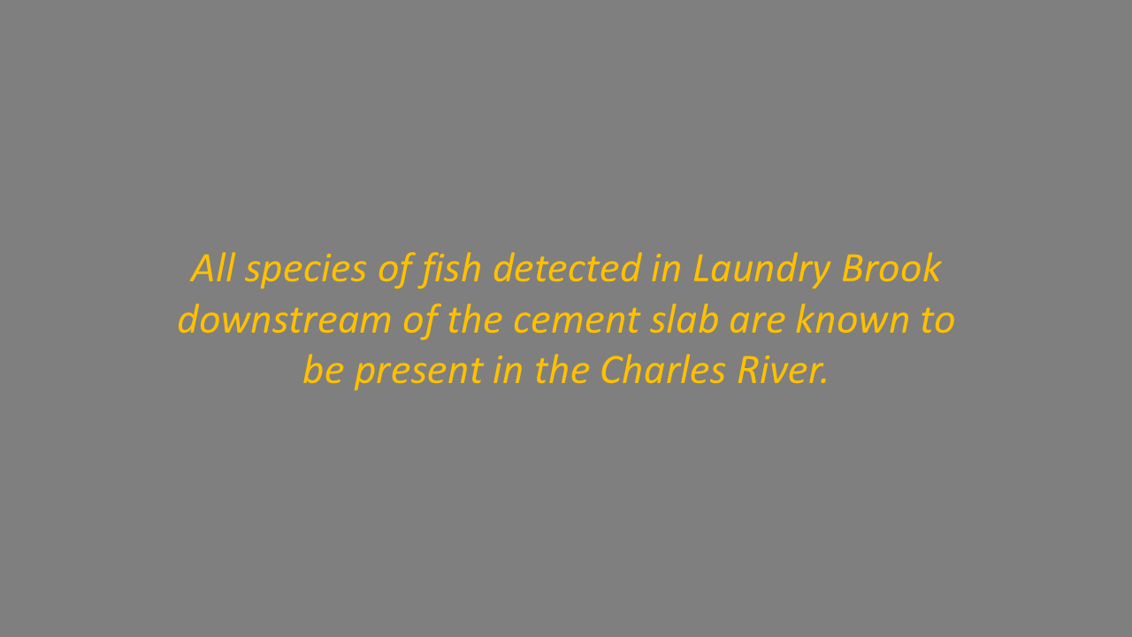 Slide37.PNG