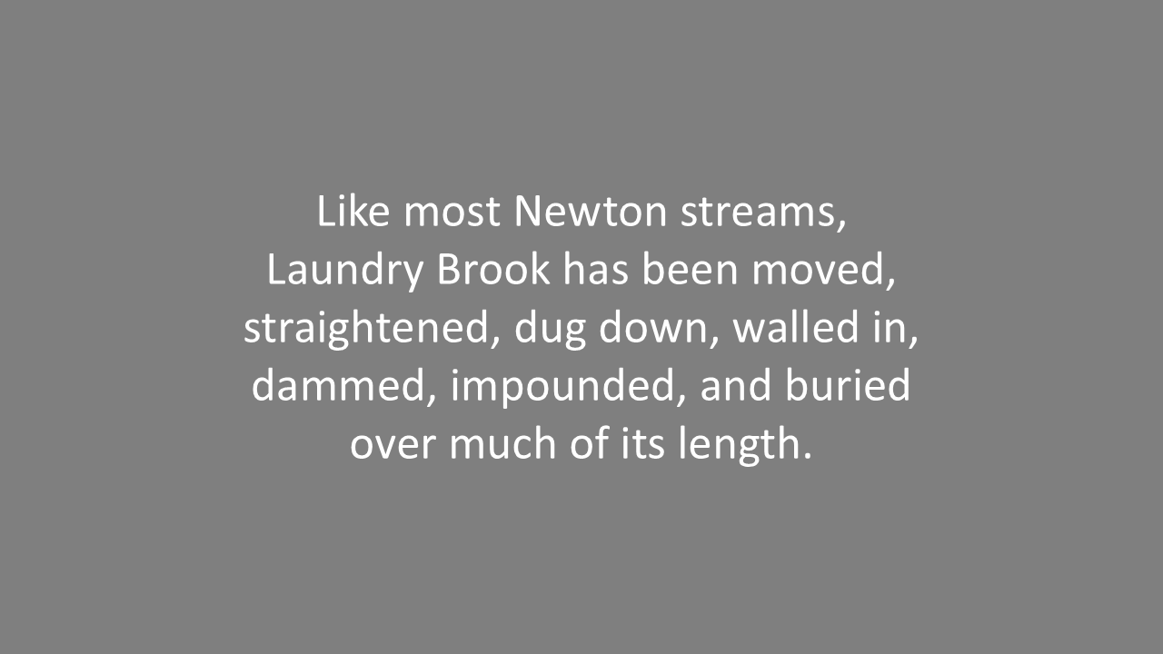 Slide7.PNG