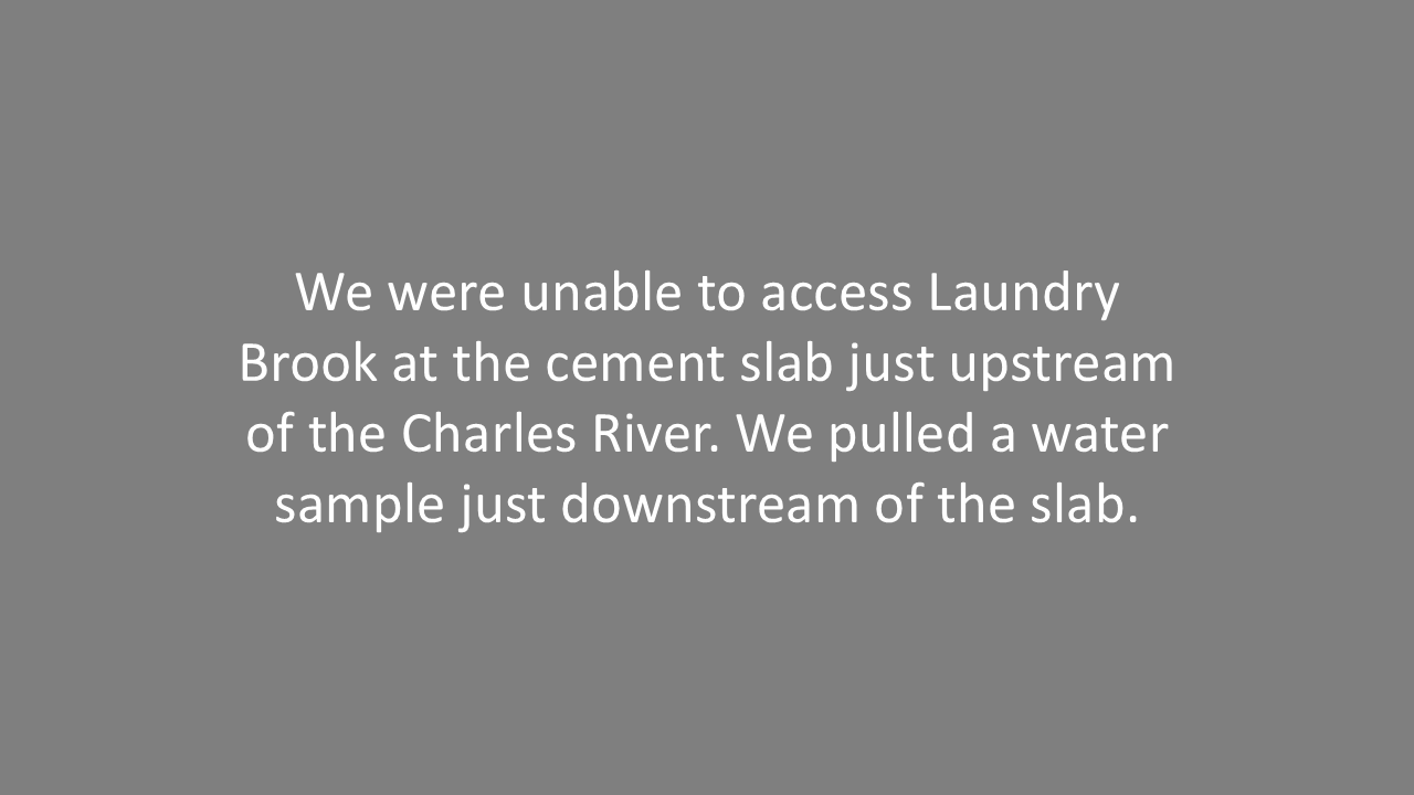 Slide20.PNG