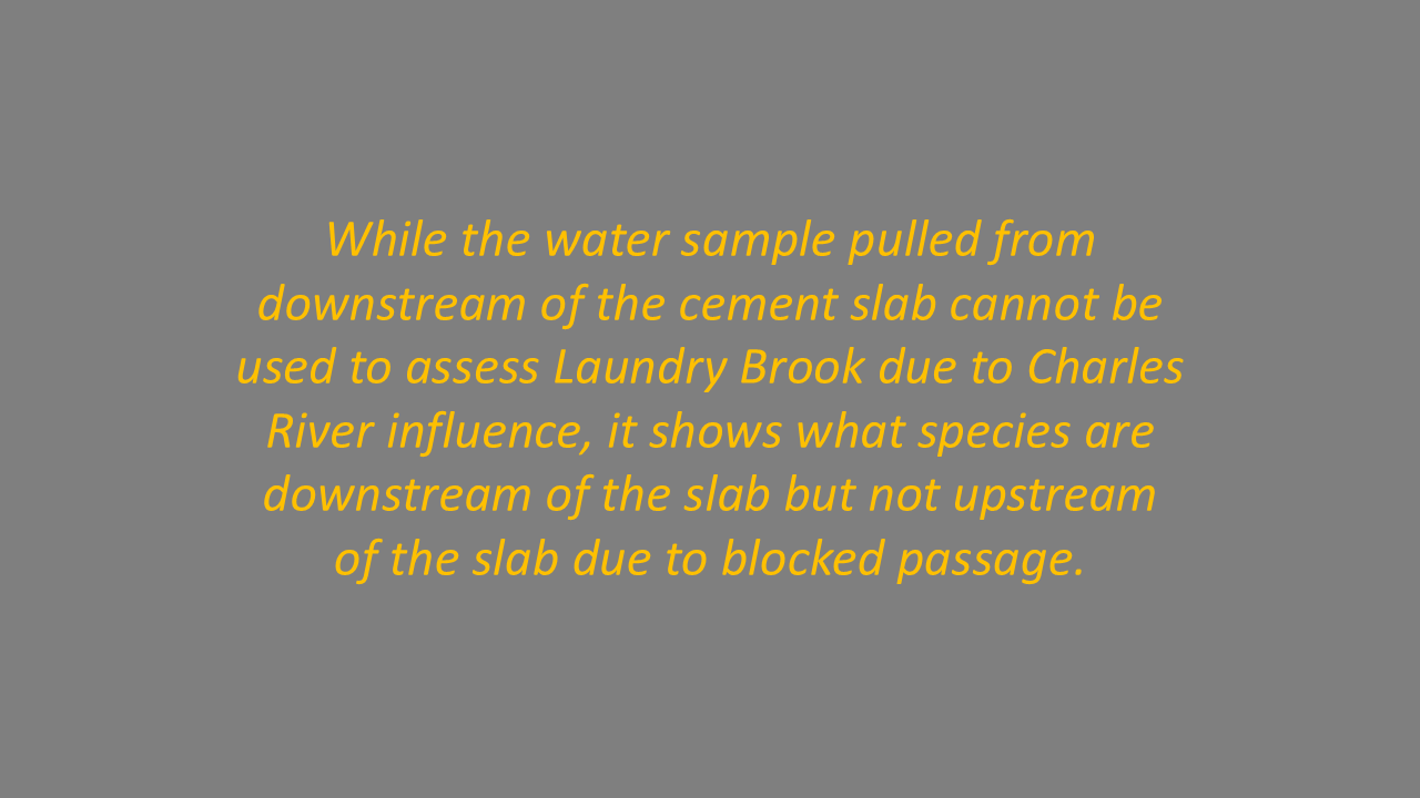Slide21.PNG