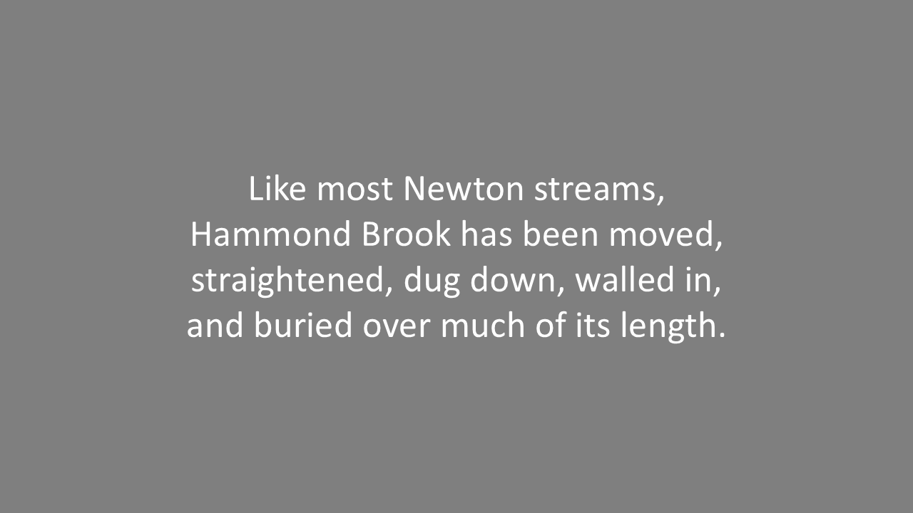Slide7.PNG