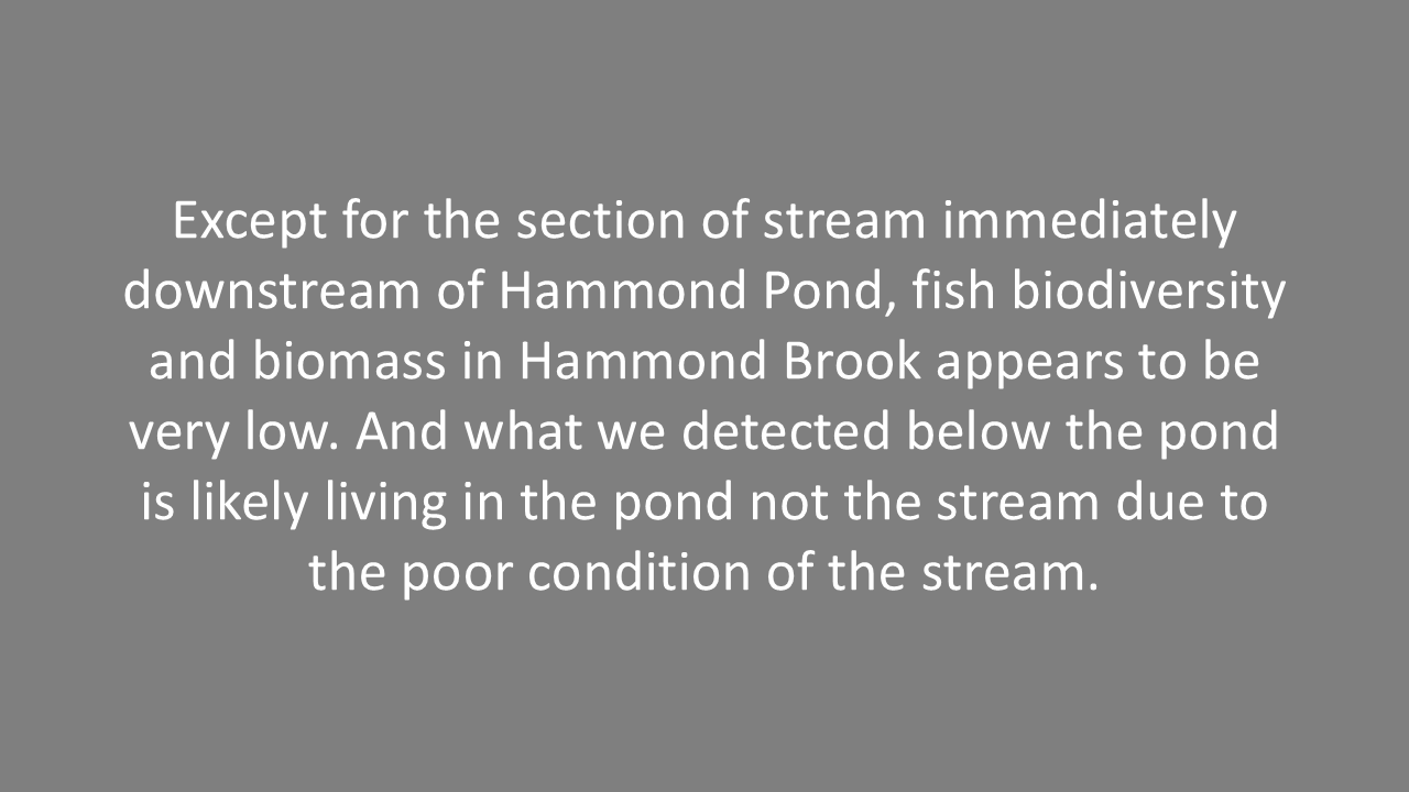 Slide23.PNG