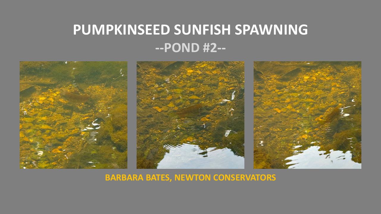 Slide30 2.png